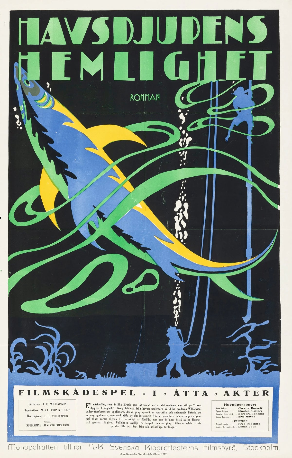 Eric Rohman - The Submarine Eye (1918)