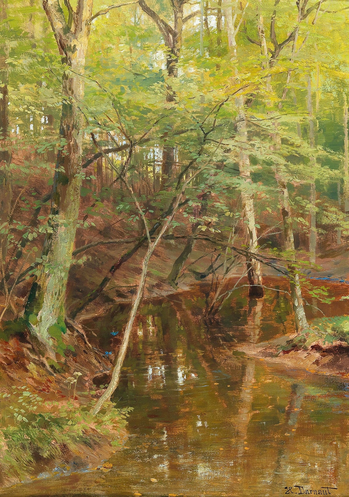 Hugo Darnaut - Woodland Stream