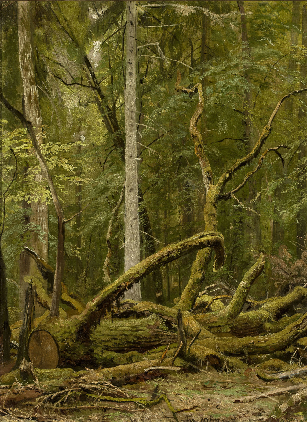 Ivan Ivanovich Shishkin - Cut down oak (1890s)
