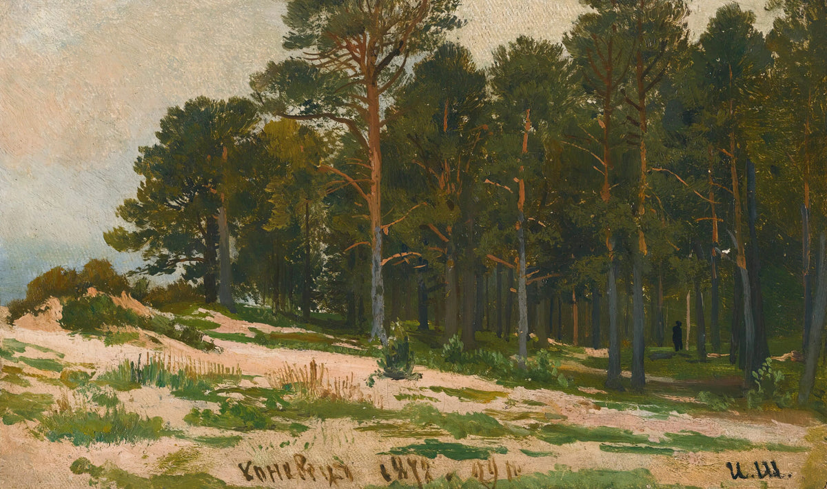 Ivan Ivanovich Shishkin - Pine Forest (1872)