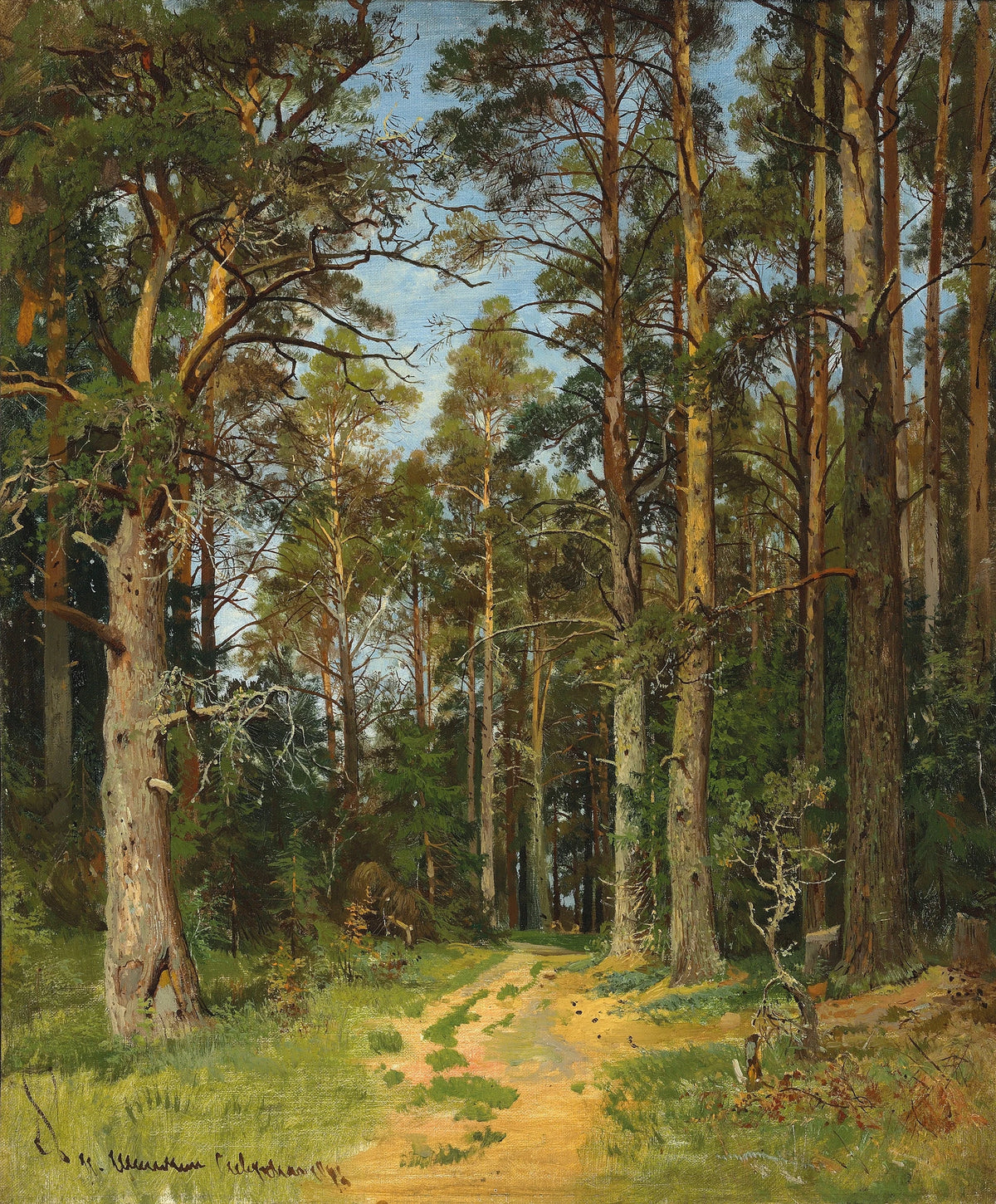 Ivan Ivanovich Shishkin - Siverskaya (1896)