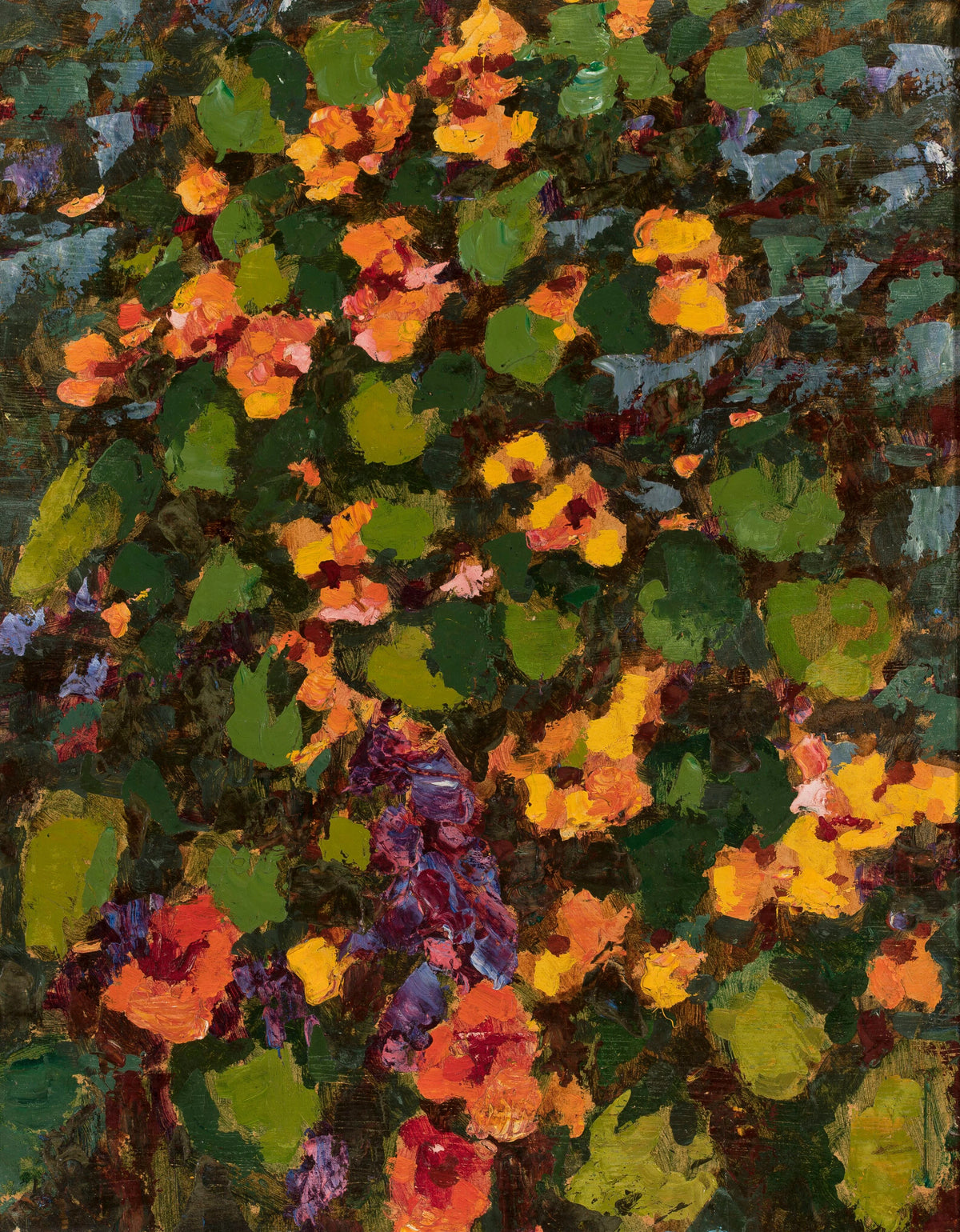 Jan Bohuszewicz - In my garden - Nasturtiums in the sunshine (1932)
