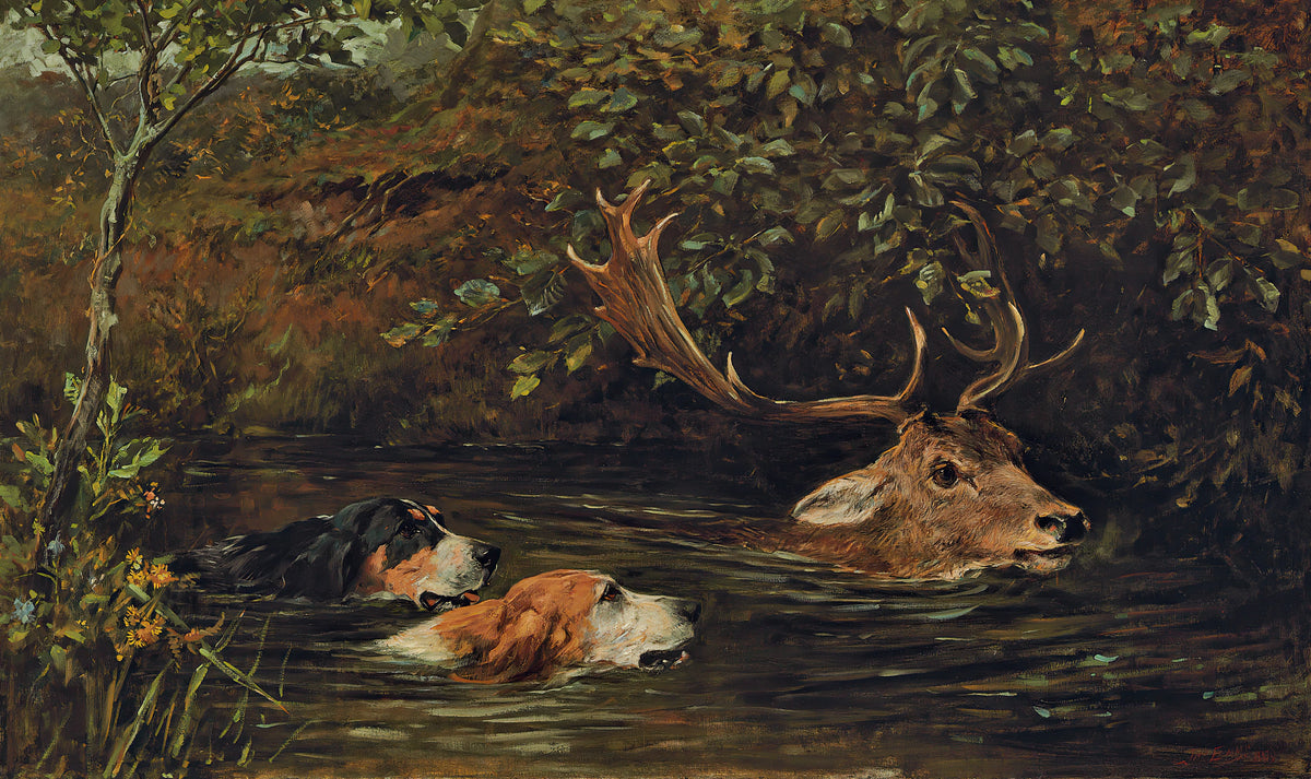 John Emms - A Stag At Bay (1899)