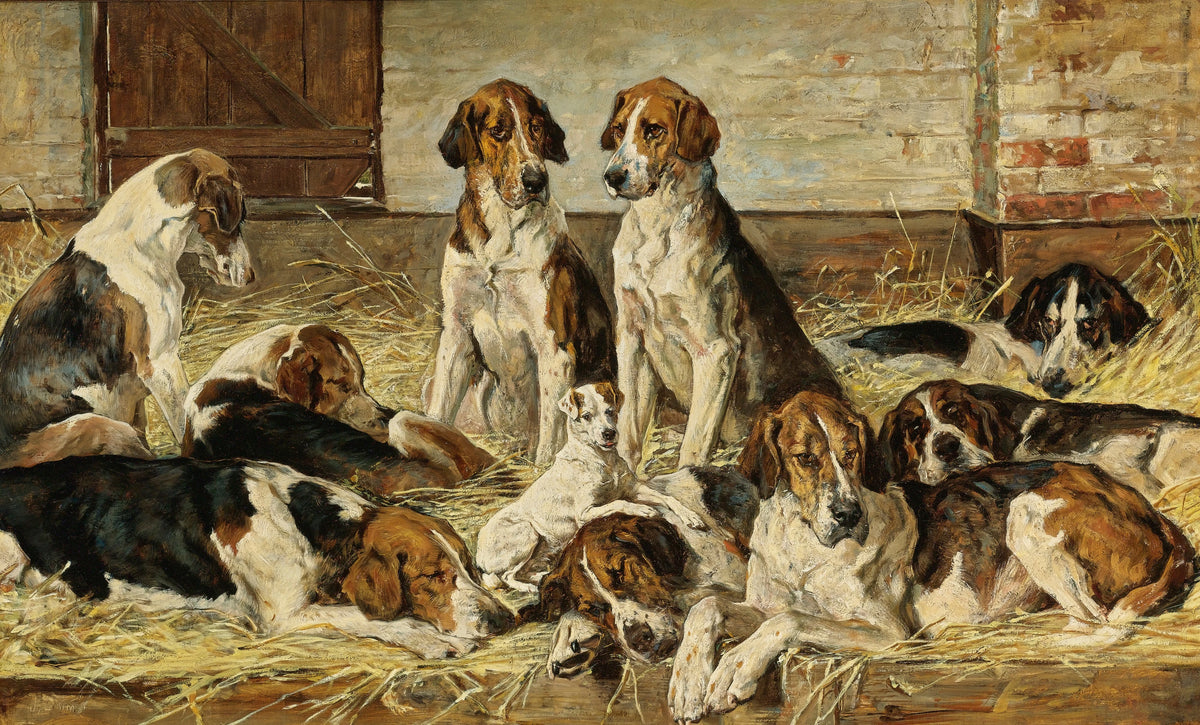John Emms - Hounds At Rest