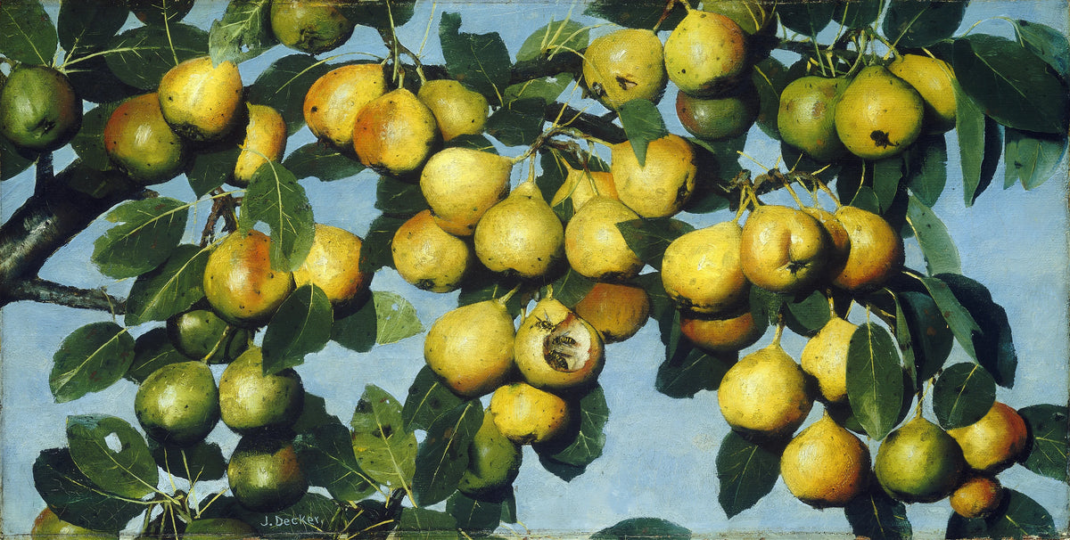 Joseph Decker - Ripening Pears (circa 1884-1885)