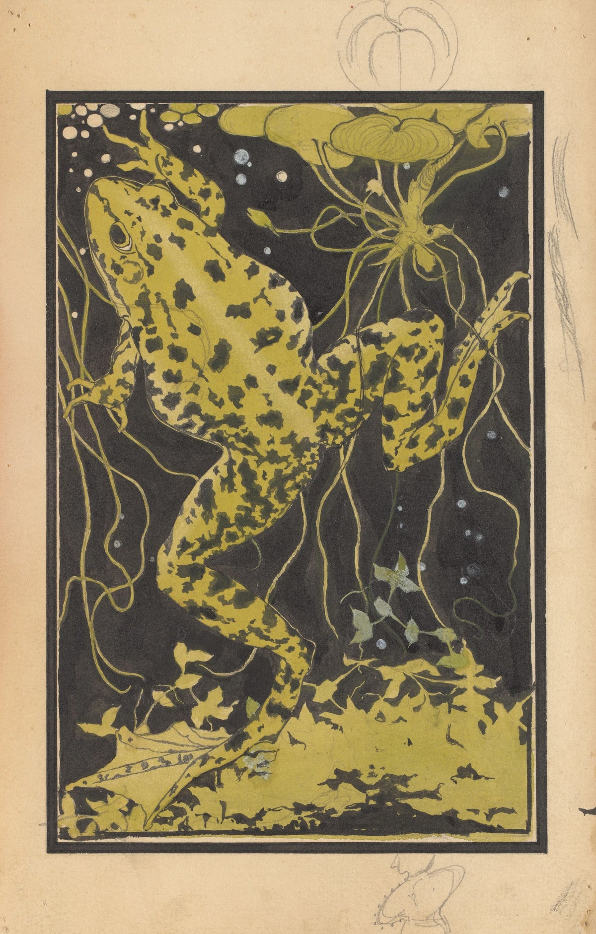 Julie de Graag - Frog in the water (20th century)