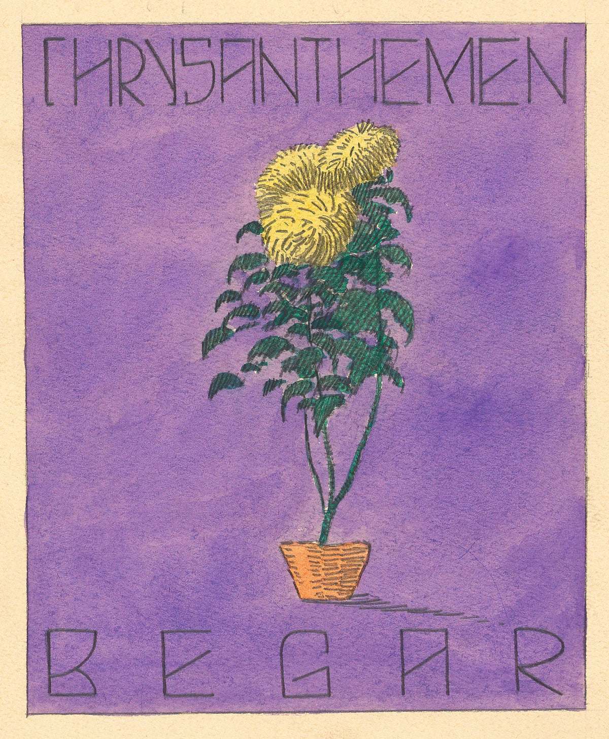 Karl Wiener - Chrysanthemen Begar (1919-1920)