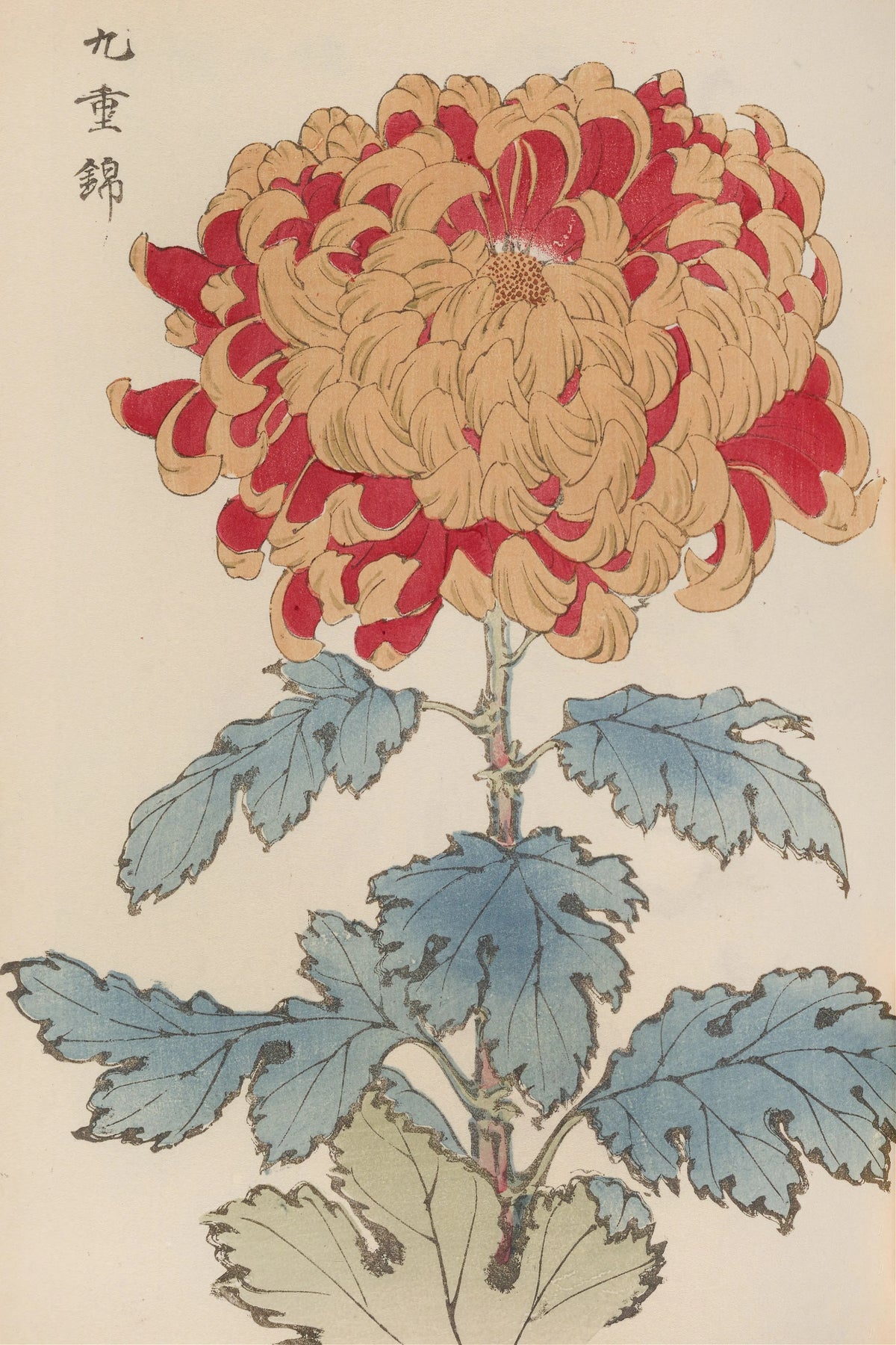 Keika Hasegawa - Keika hyakugiku, Pl.05 (1893)