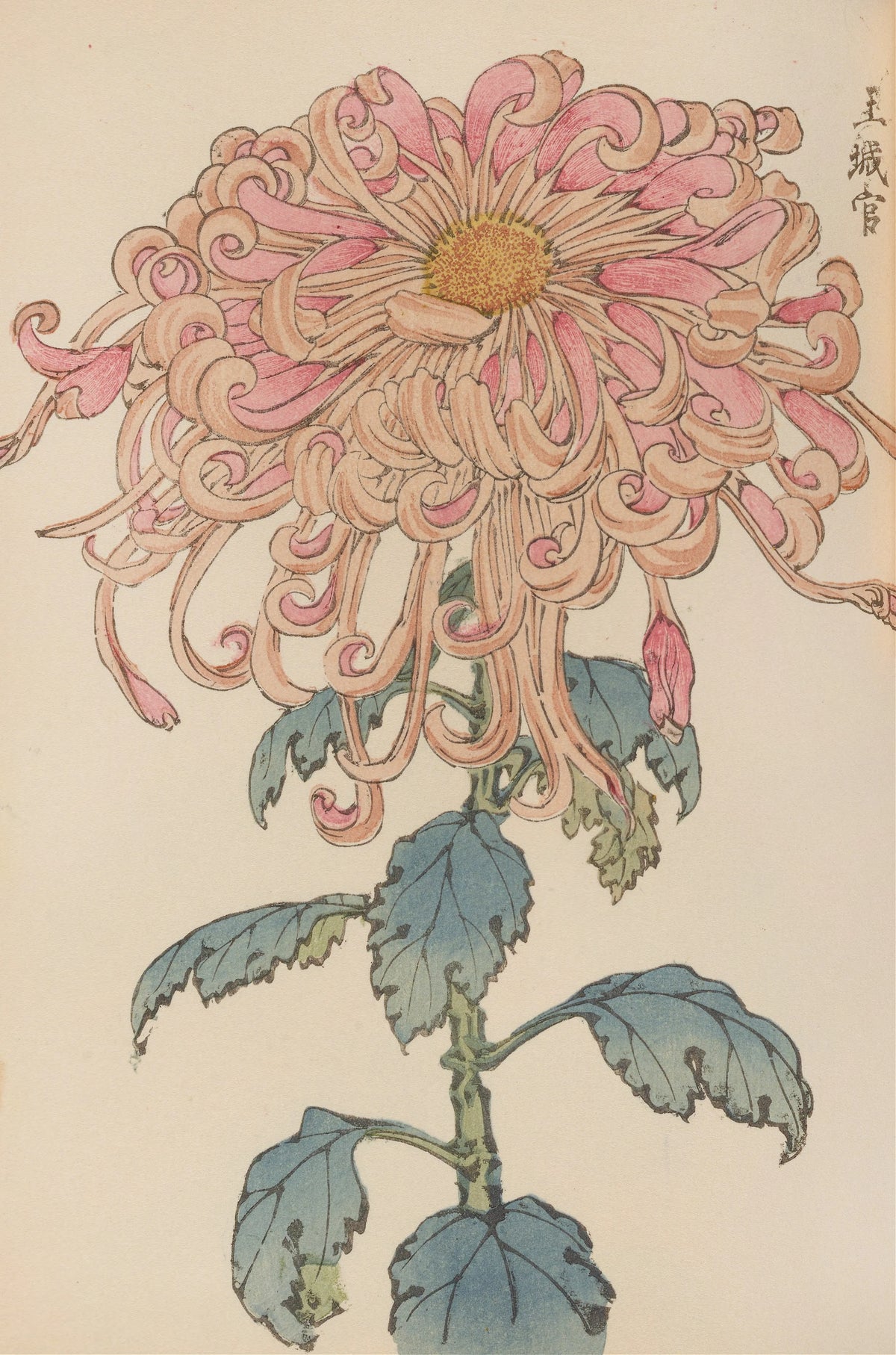 Keika Hasegawa - Keika hyakugiku, Pl.06 (1893)