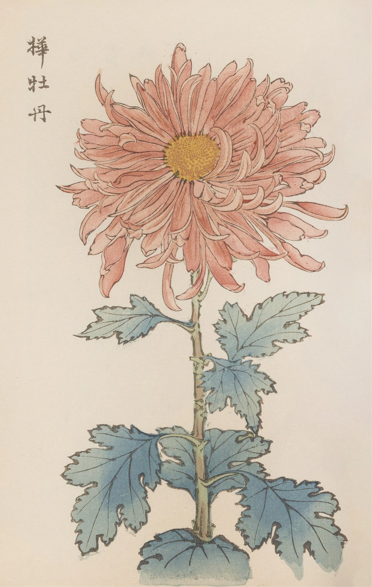 Keika Hasegawa - Keika hyakugiku, Pl.15 (1893)