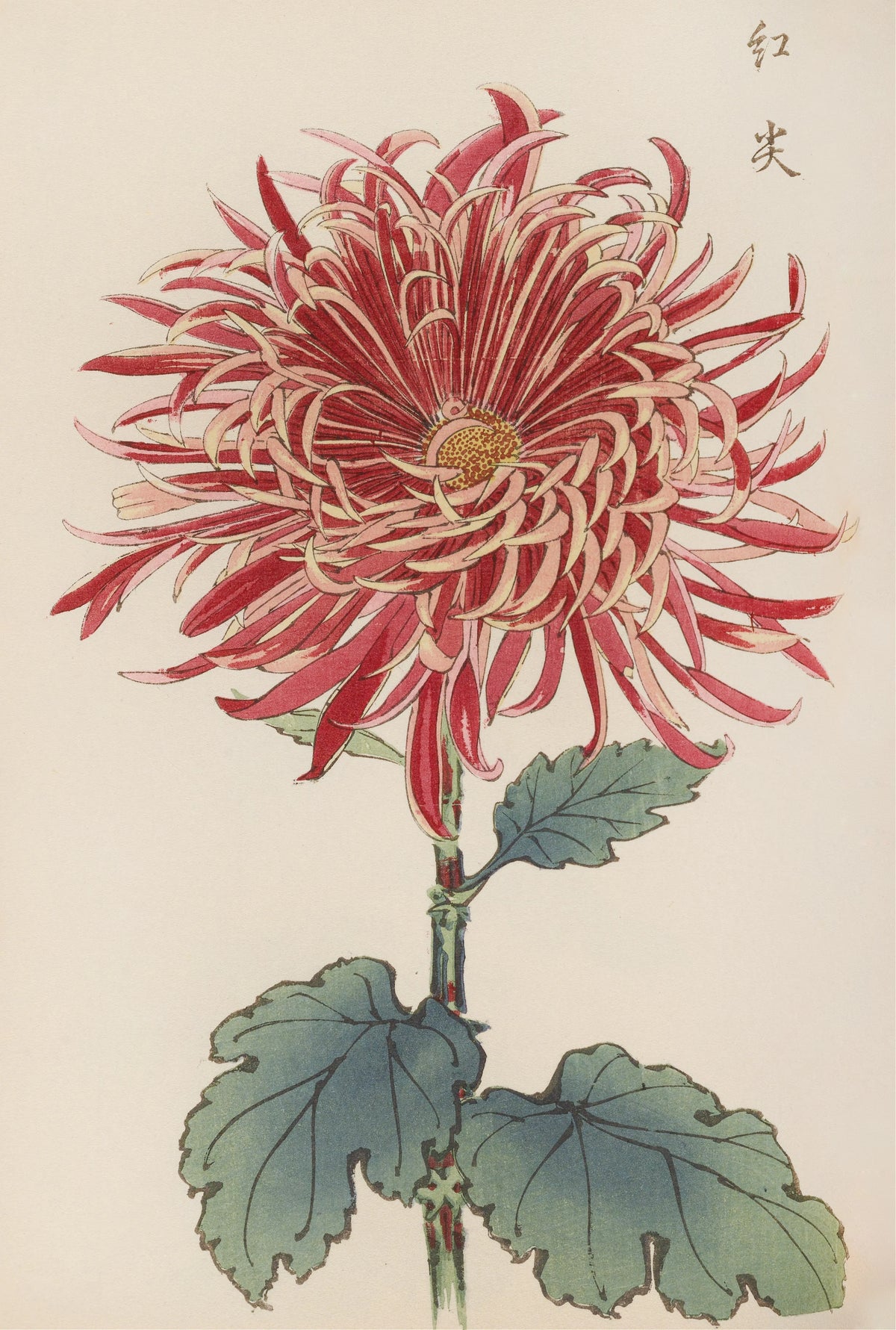 Keika Hasegawa - Keika hyakugiku, Pl.27 (1893)