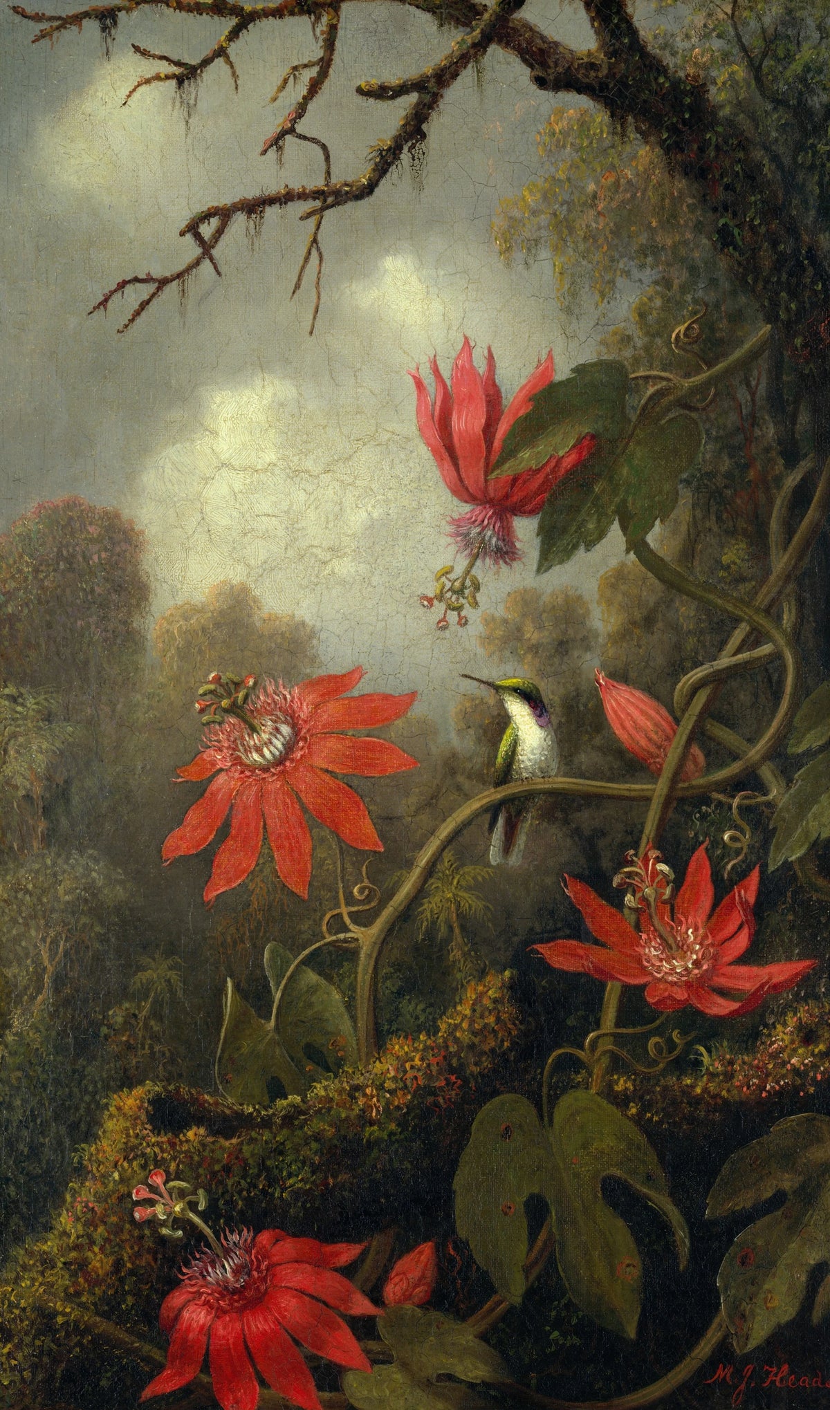 Martin Johnson Heade - Hummingbird and Passionflowers (circa 1875-85)
