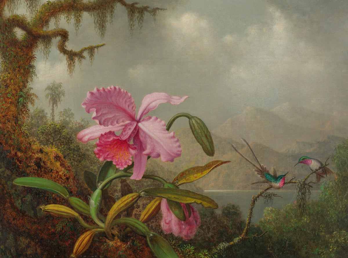 Martin Johnson Heade - Orchids And Hummingbirds