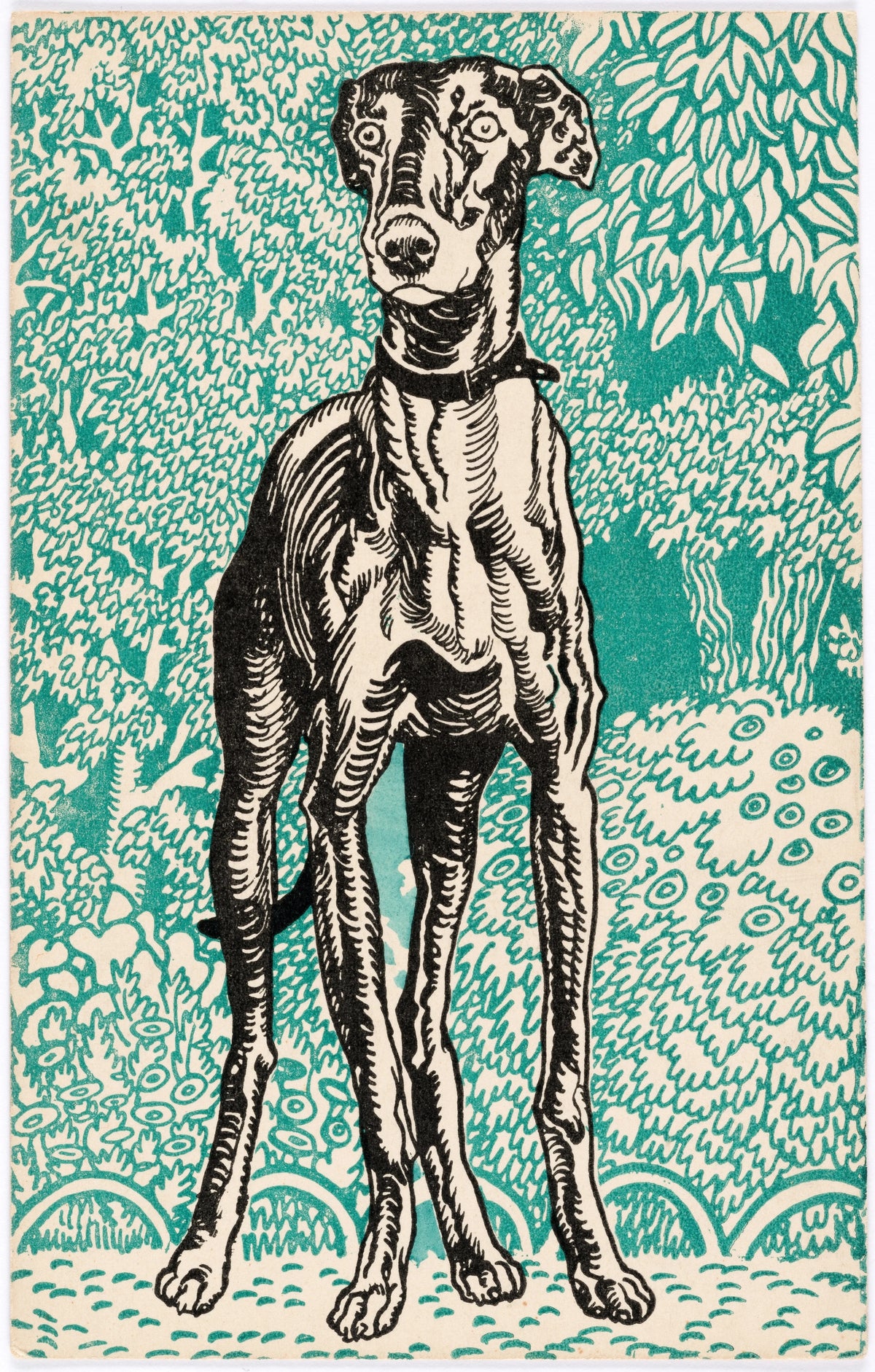 Moriz Jung - Nr. 678 Windhund (Greyhound) (1912)