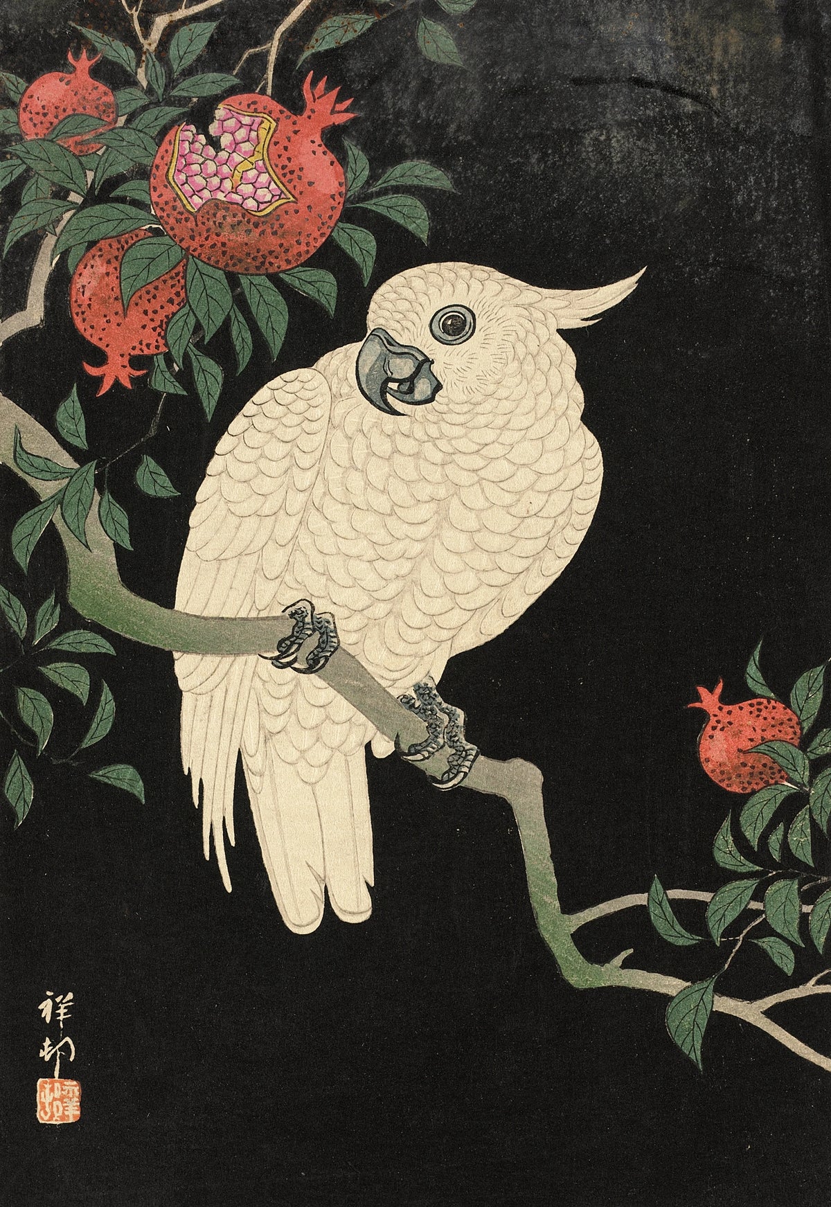 Ohara Koson - Cockatoo And Pomegranate (20th Century)