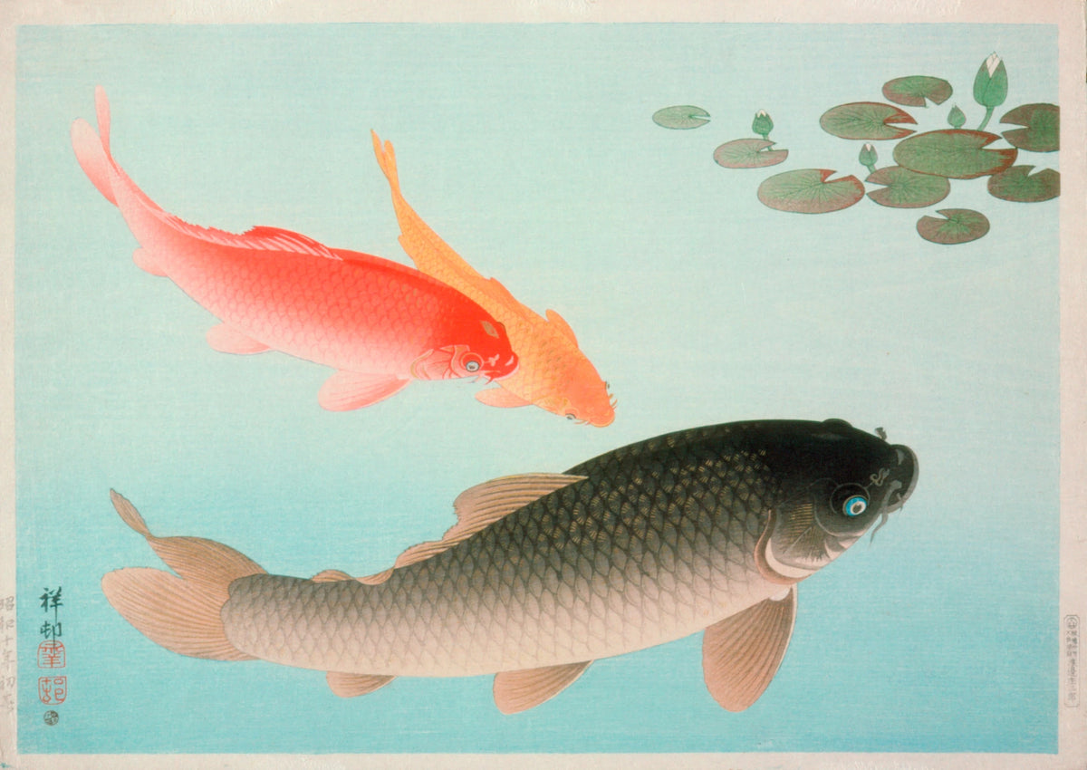 Ohara Koson - Common And Golden Carp (1935)