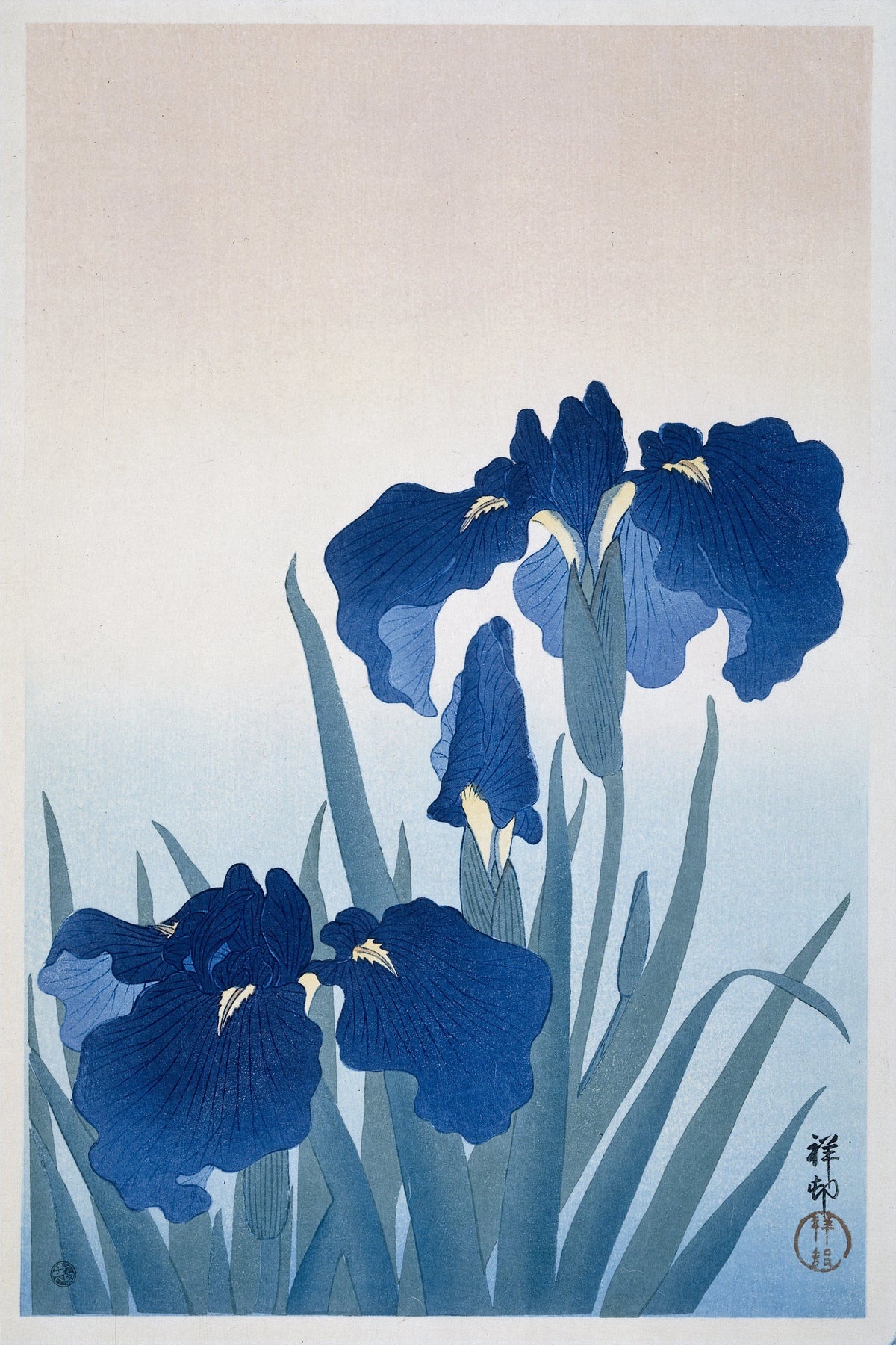 Ohara Koson - Irises (1925-1936)