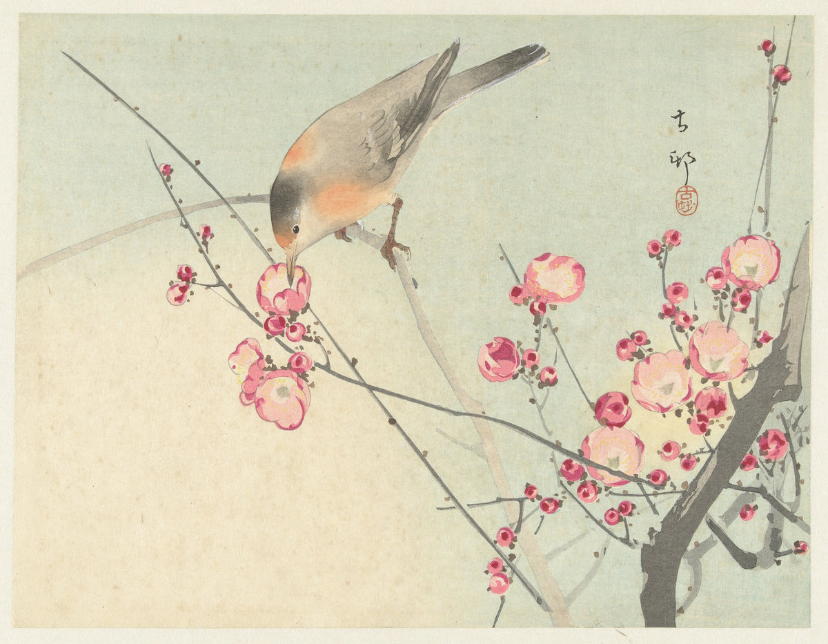 Ohara Koson - Songbird on blossom branch (1900-1936)