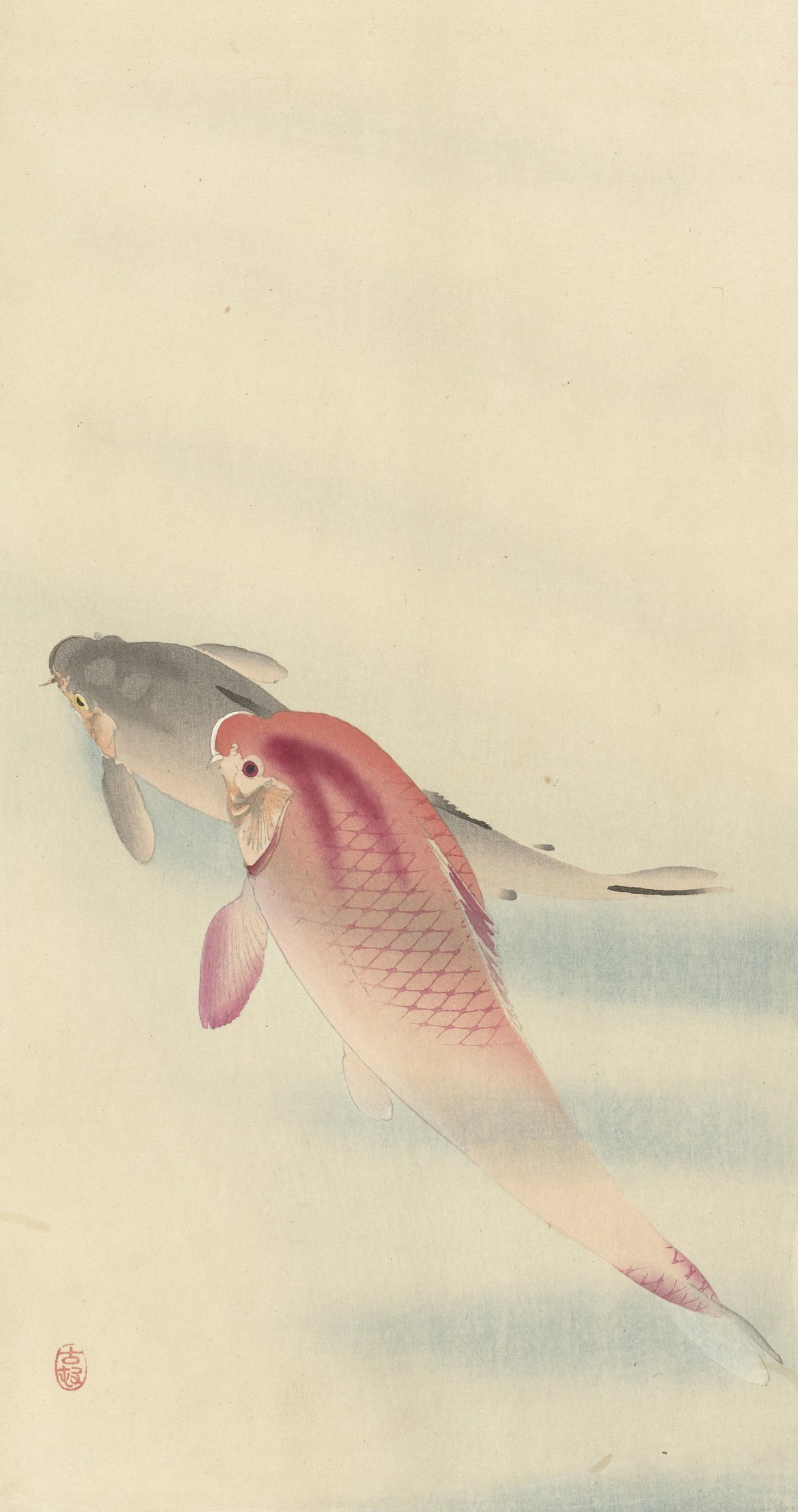 Ohara Koson - Two carp (1900-1930)
