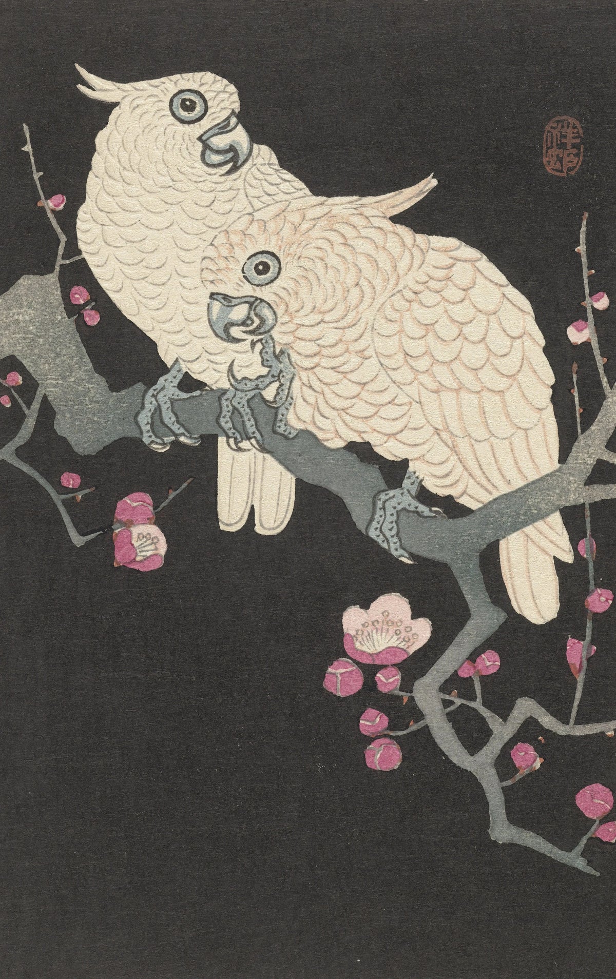 Ohara Koson - Two cockatoo and plum blossom (1925-1936)