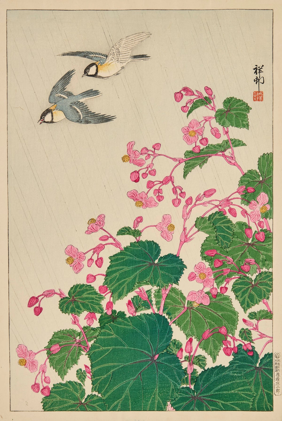Ohara Koson - Two manchurian great tits in flight above begonia (circa 1929)