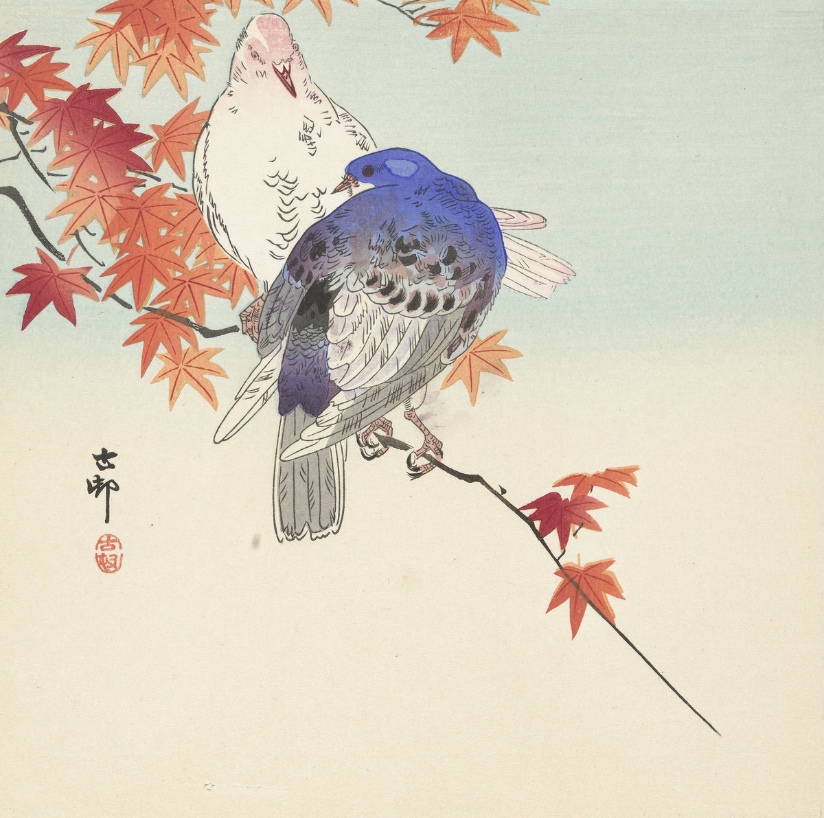 Ohara Koson - Two pigeons on autumnal branch (1900-1936)