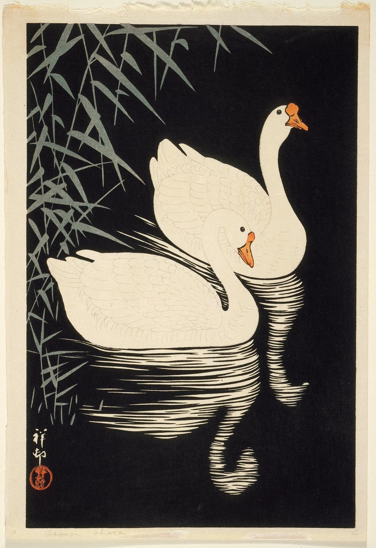 Ohara Koson - White Chinese Geese Swimming By Reeds (1928)