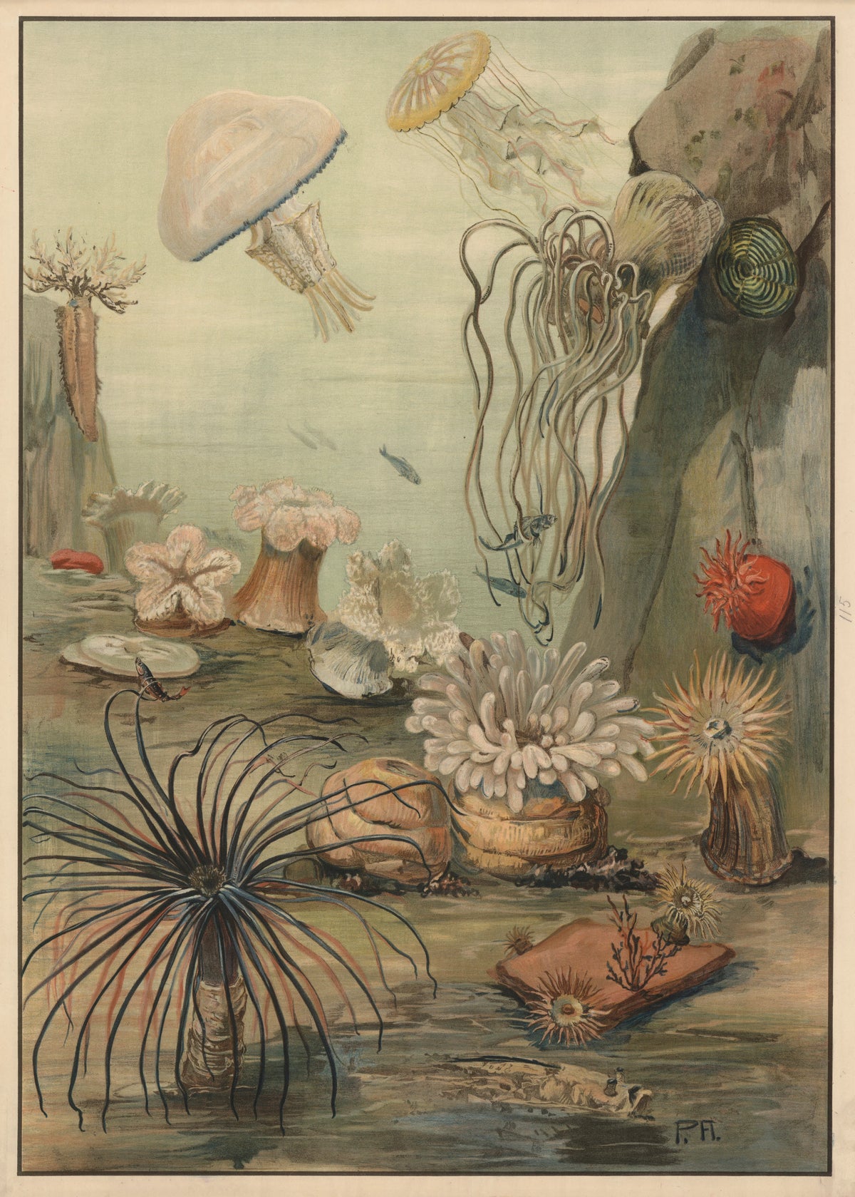Paul Flanderky - Sea anemones (1911)