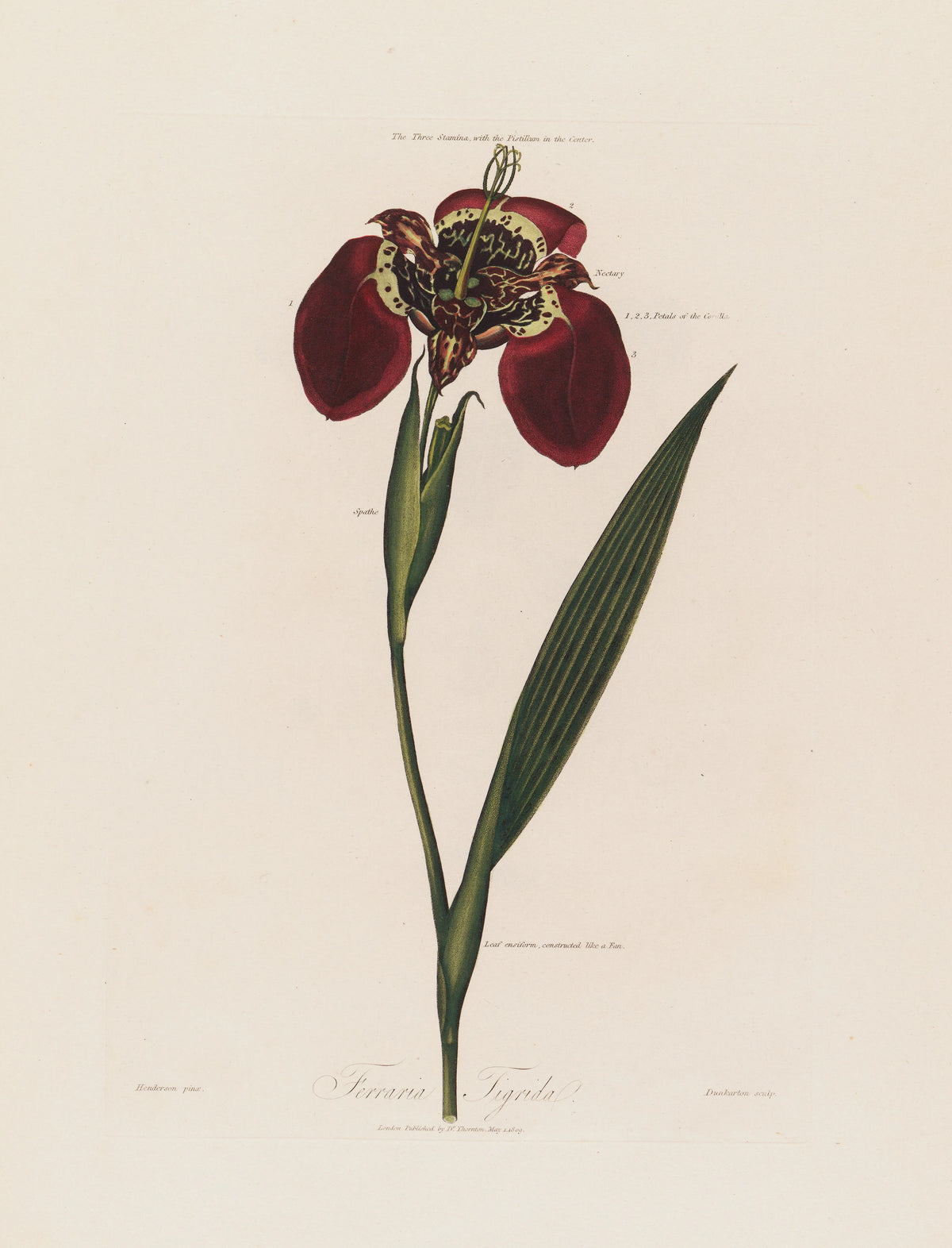 Çerçevesiz|Tam Oturt