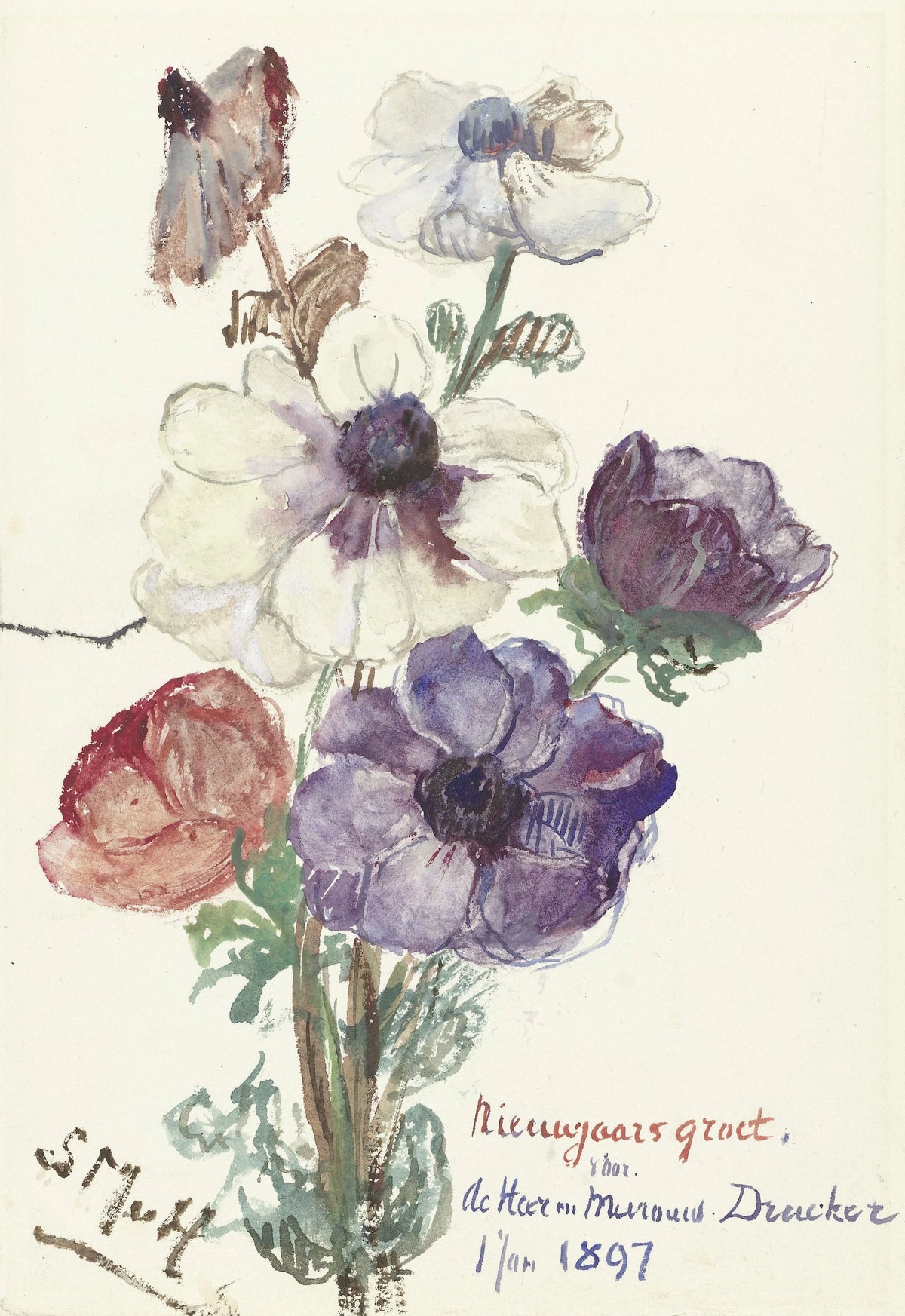 Sientje Mesdag van Houten - Nieuwjaarsgroet met anemonen (1896-1897)