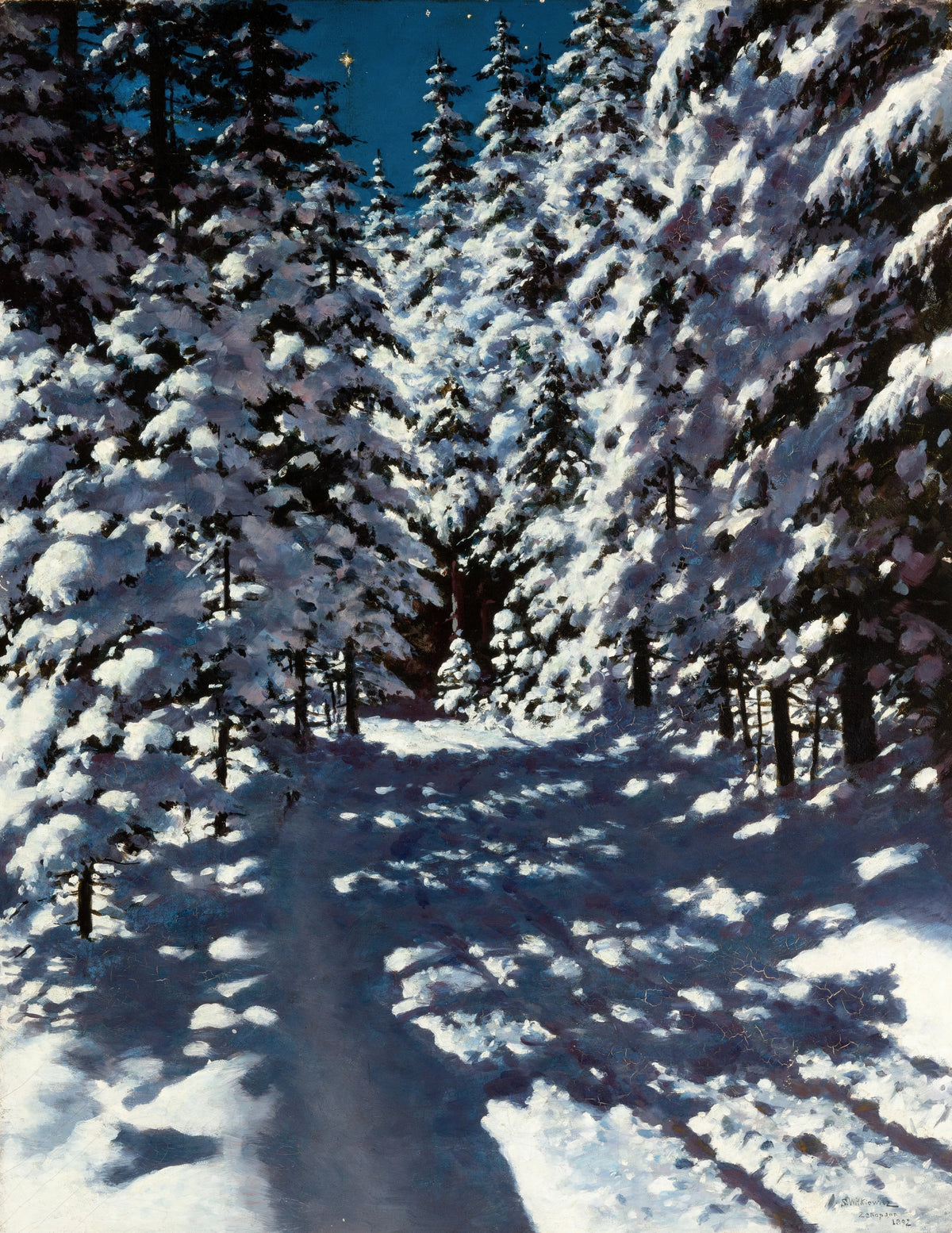 Stanisław Witkiewicz - Forest (1892)