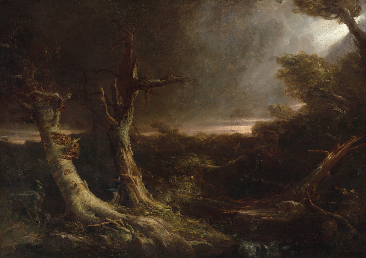 Thomas Cole - Tornado in an American Forest (1831)