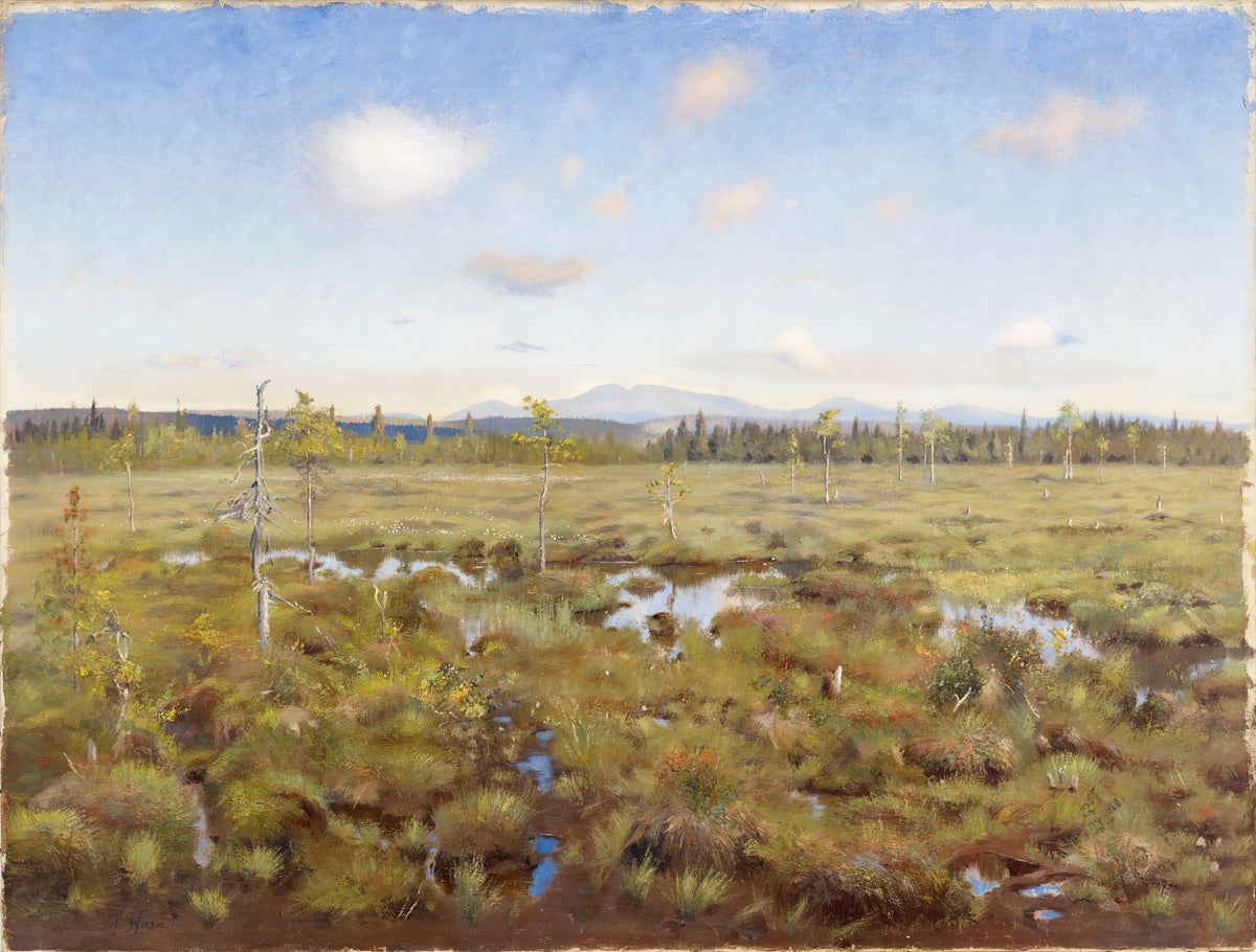 Torsten Wasastjerna - Landscape from Lapland (1892)