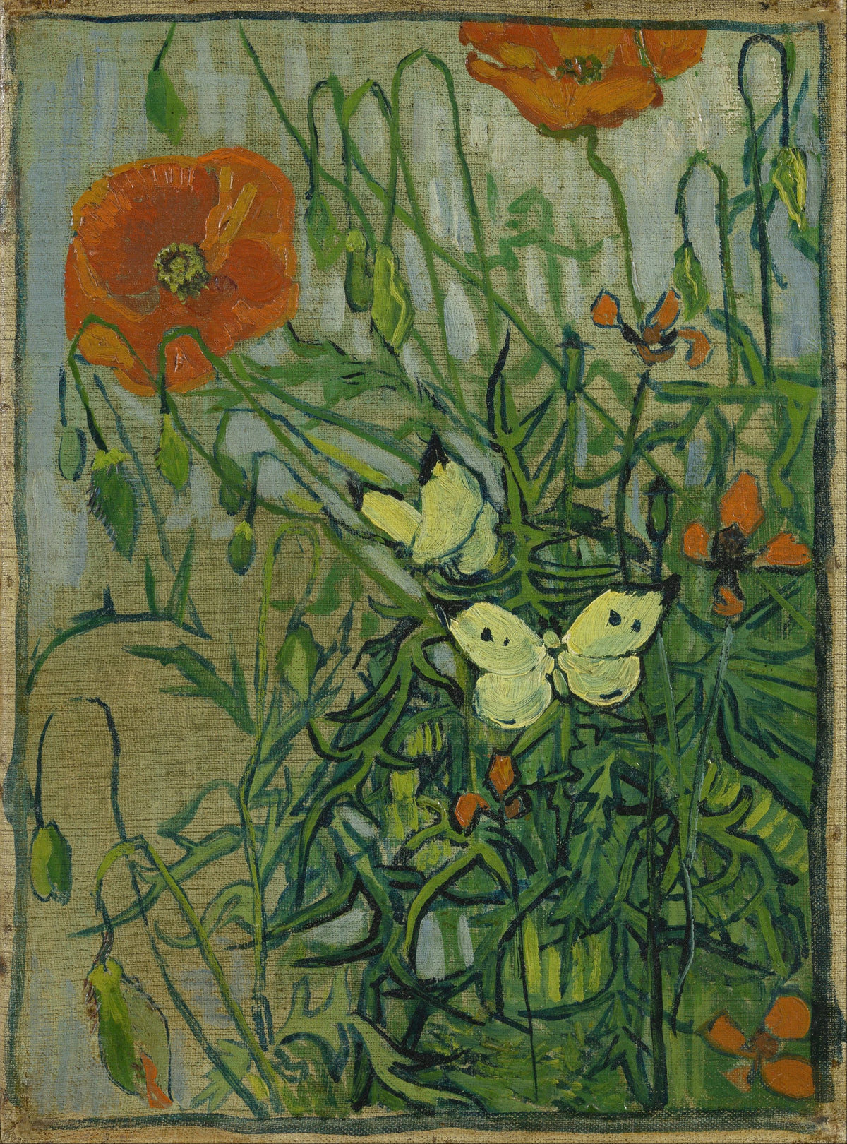 Vincent van Gogh - Butterflies and poppies (1890)