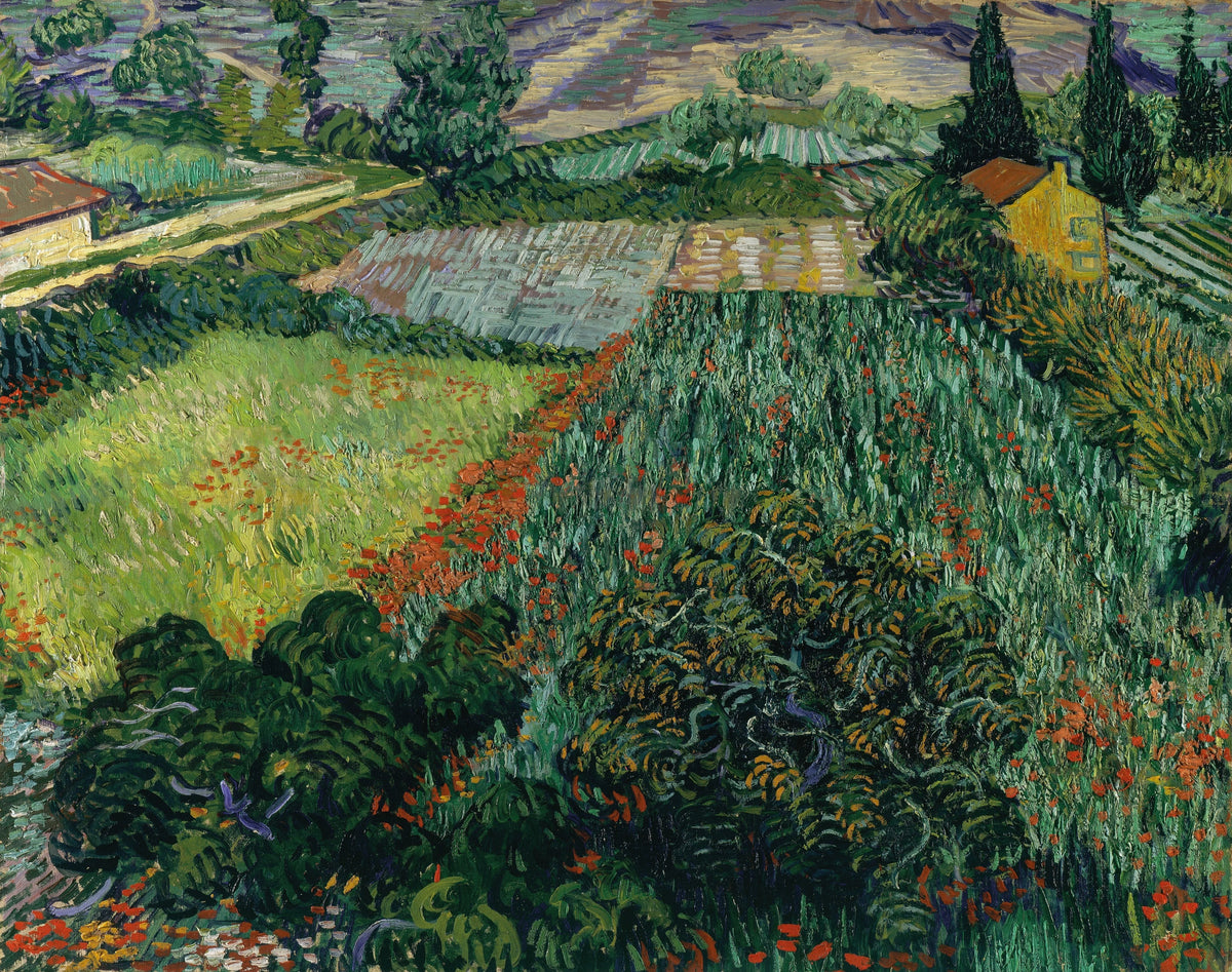 Vincent van Gogh - Field with Poppies (1889)