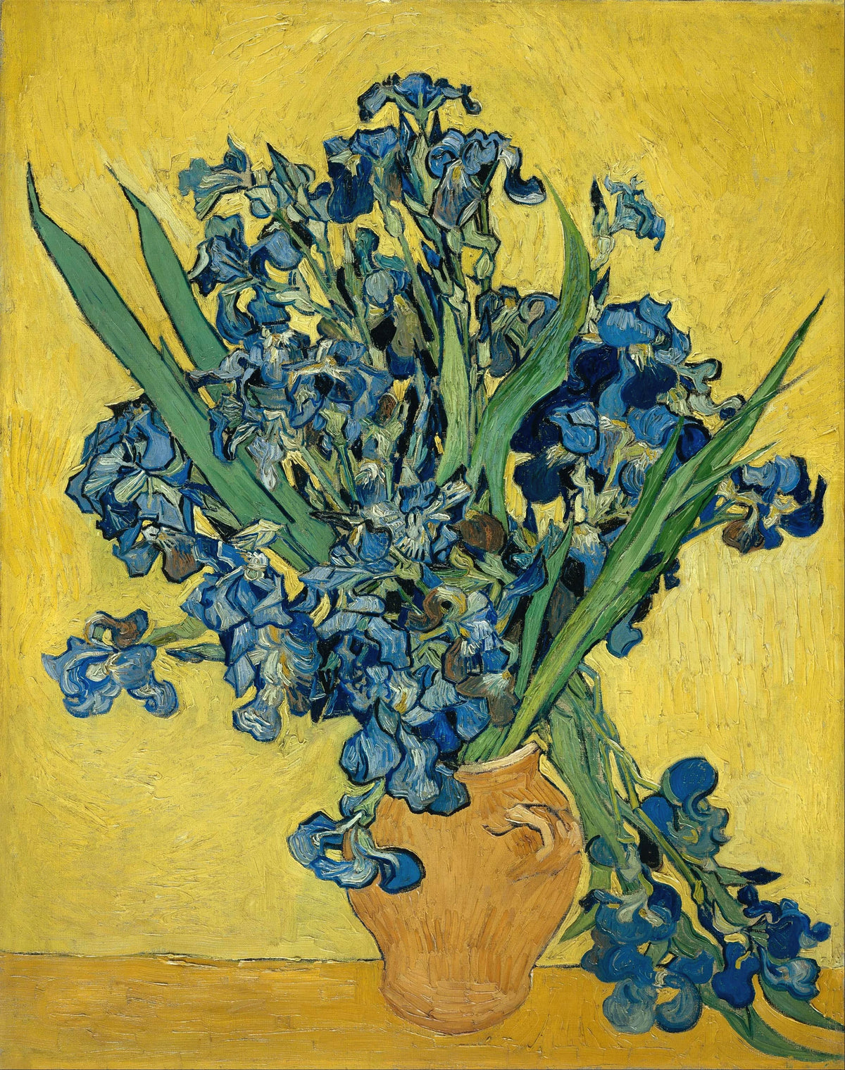 Vincent van Gogh - Irises (1890)