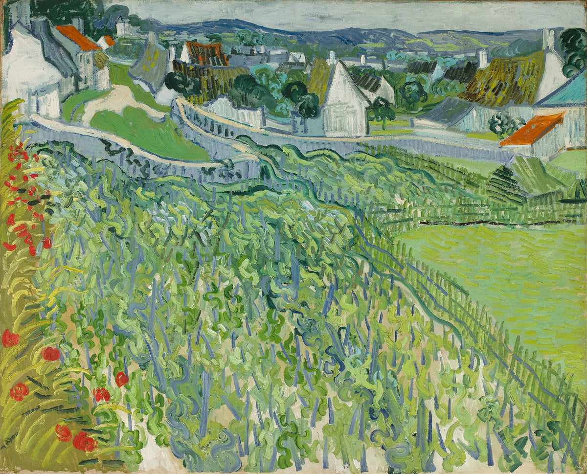 Vincent van Gogh - Vineyards at Auvers (1890)