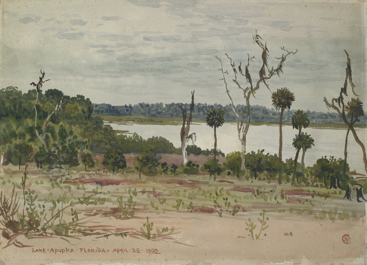 Walter Crane - Lake Apopka, Florida (1892)