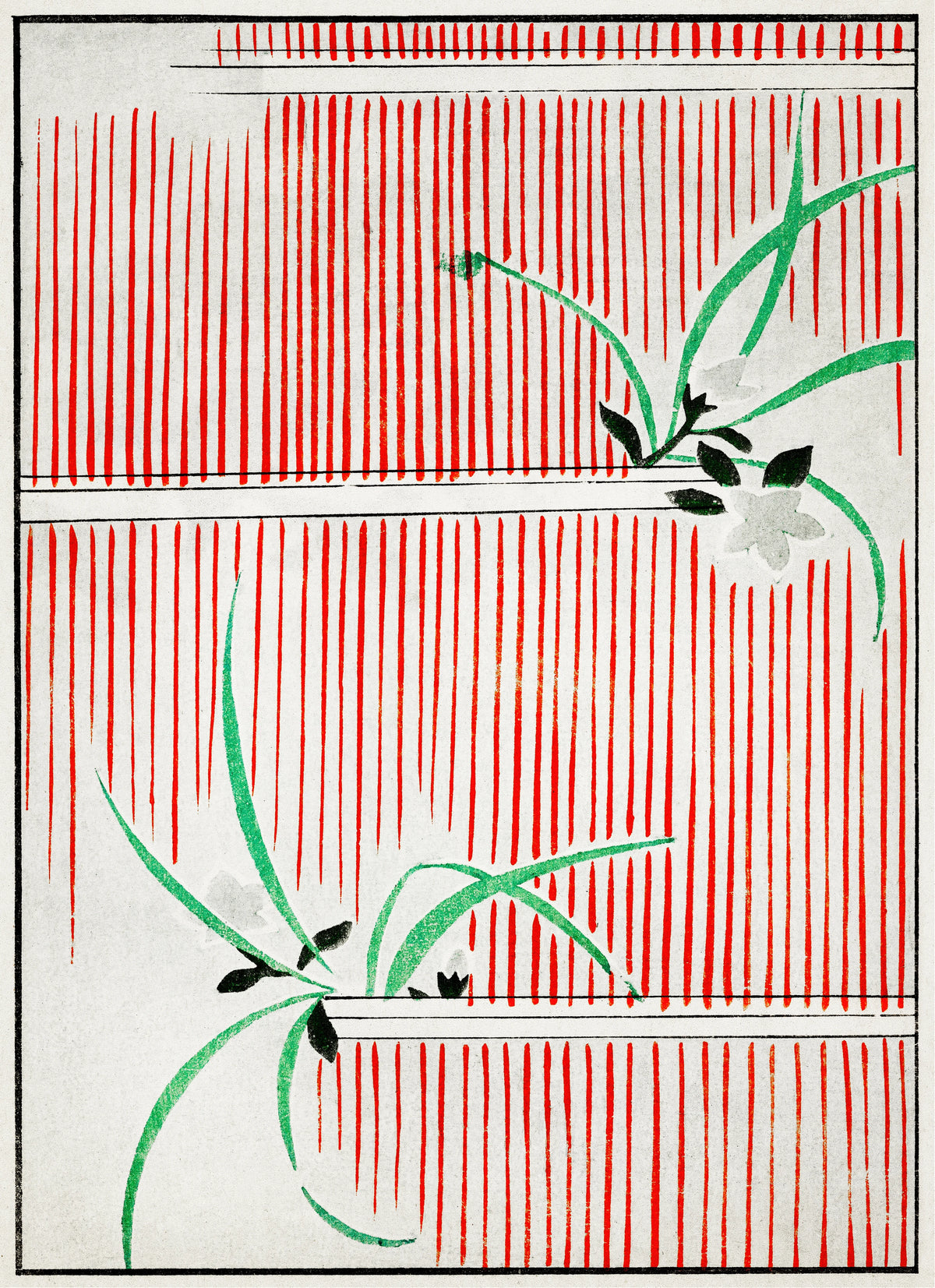 Watanabe Seitei - Morning glory illustration
