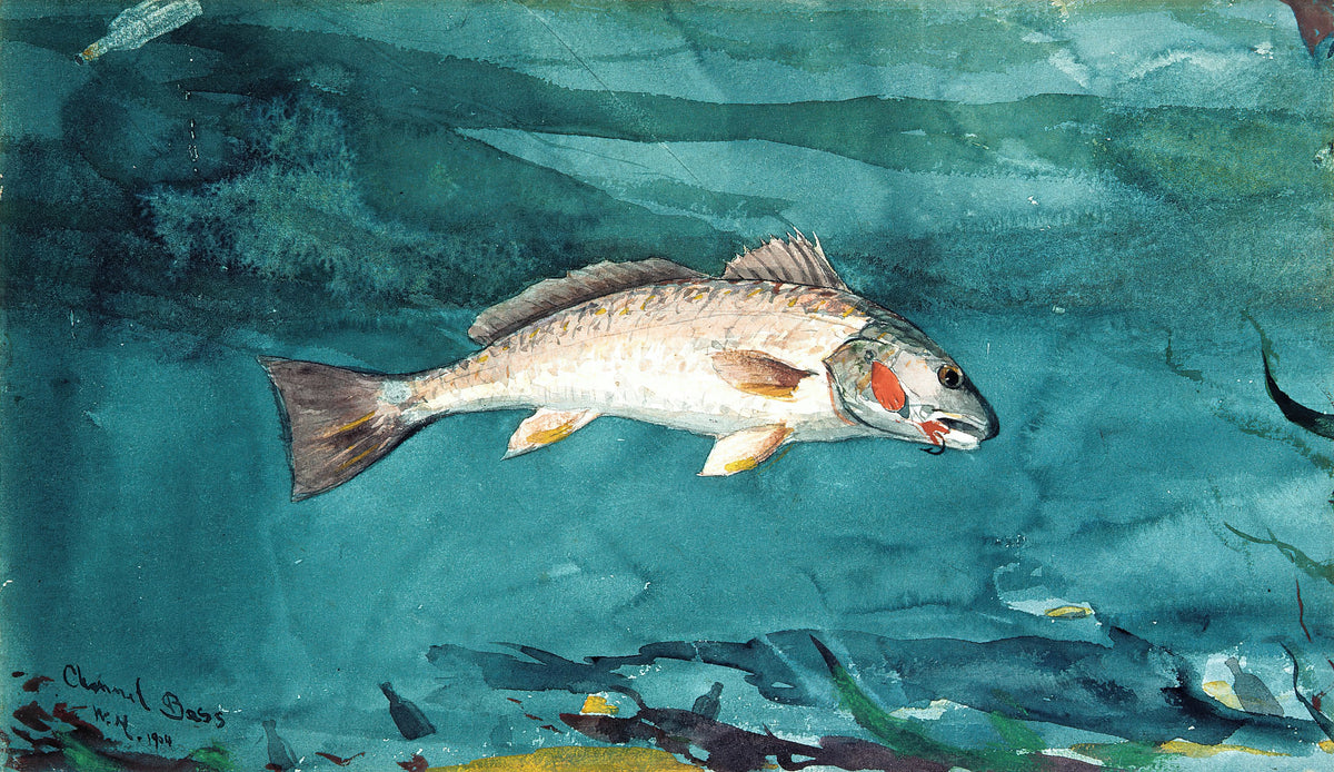 Winslow Homer - Channel Bass (1904)