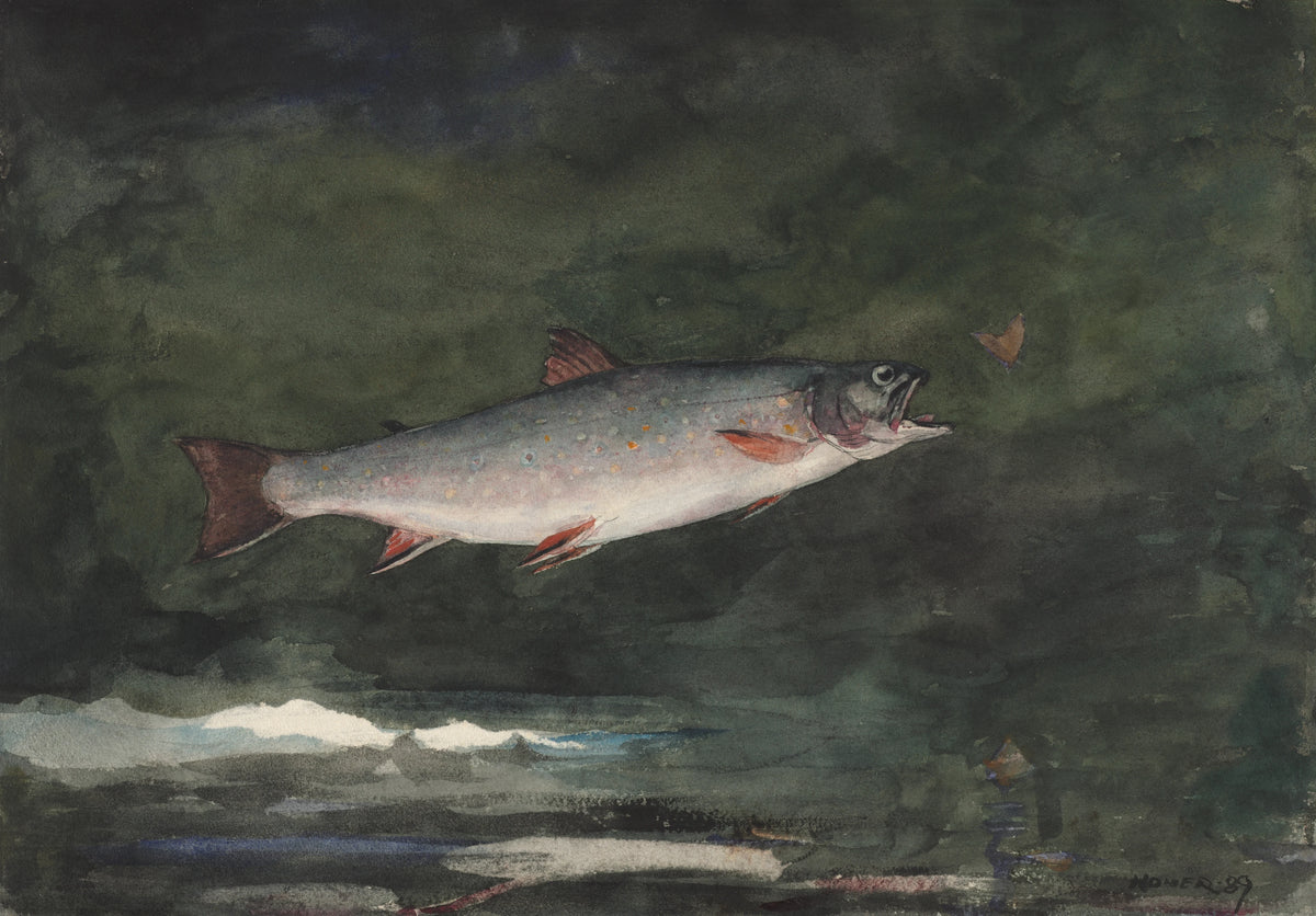 Winslow Homer - Leaping Trout (1889)
