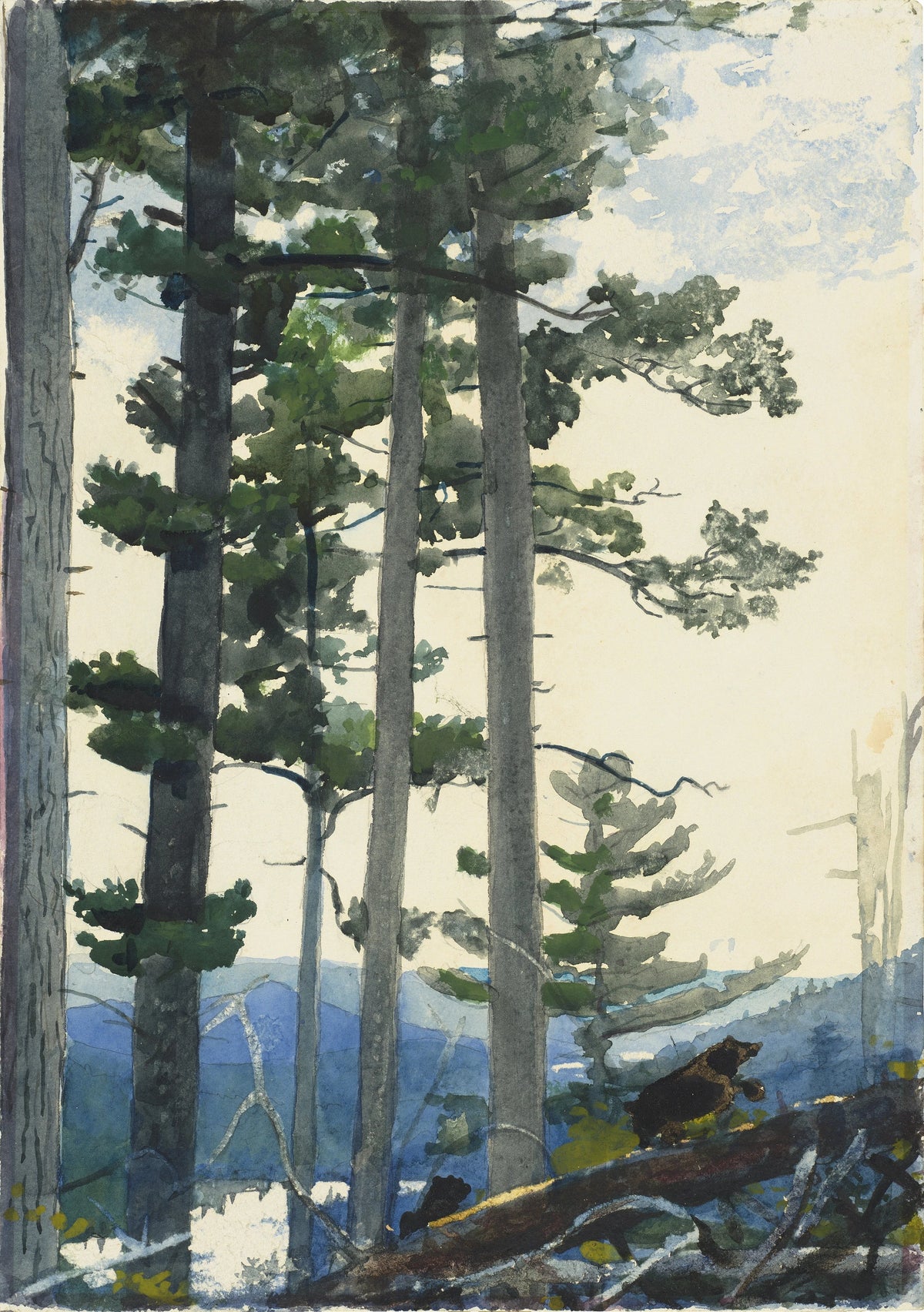 Winslow Homer - Old Settlers (1892)