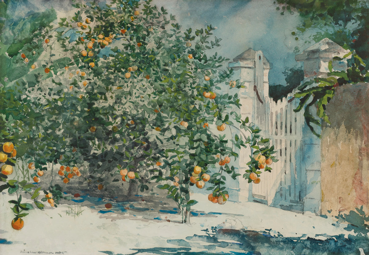 Winslow Homer - Orange Trees And Gate (1885)