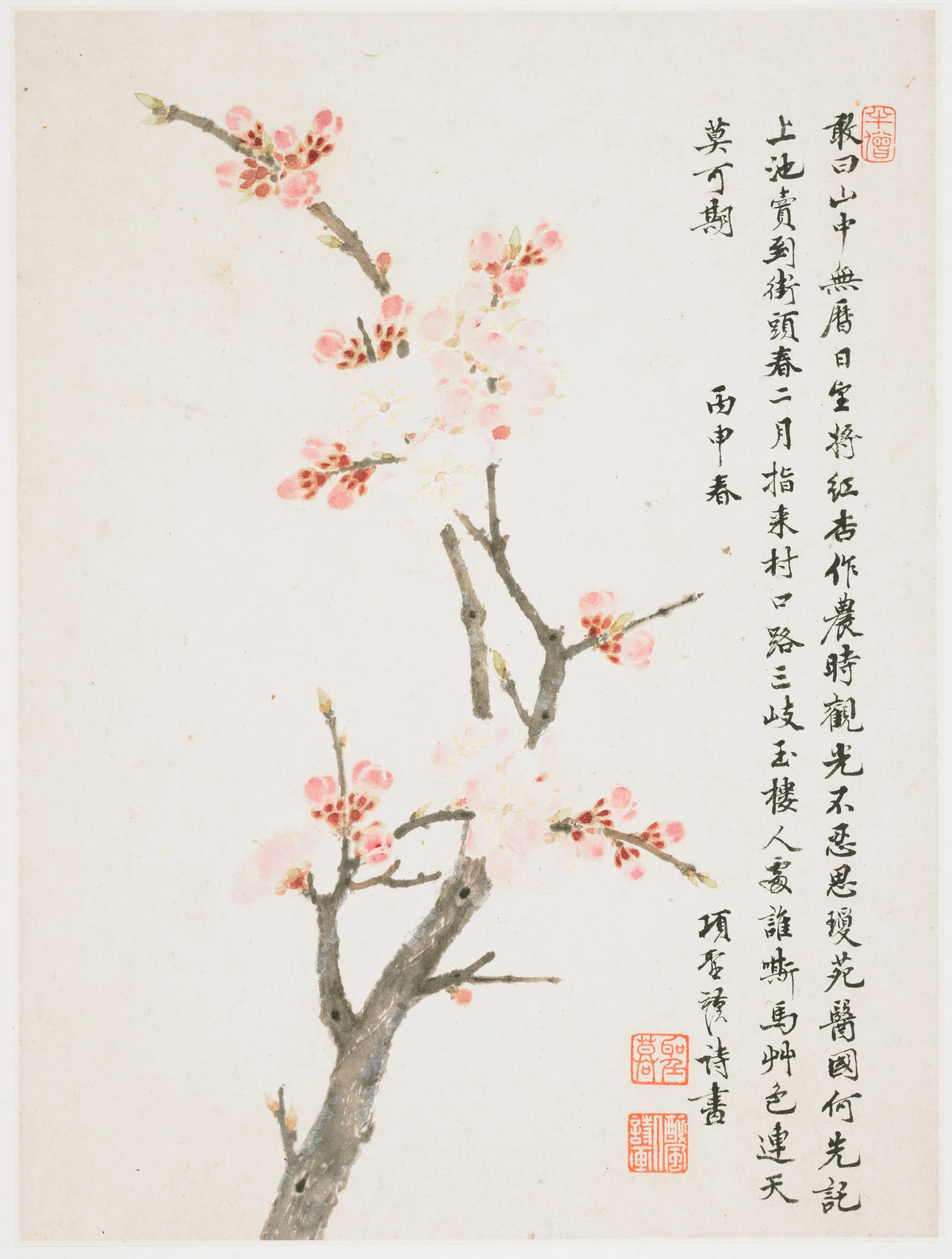 Xiang Shengmo - Apricot (1656)