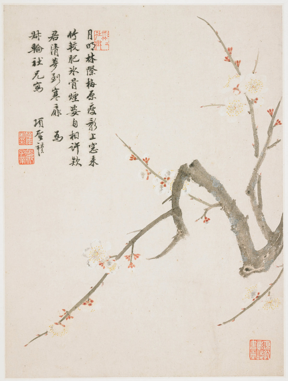 Xiang Shengmo - Blossoming plum (1656)