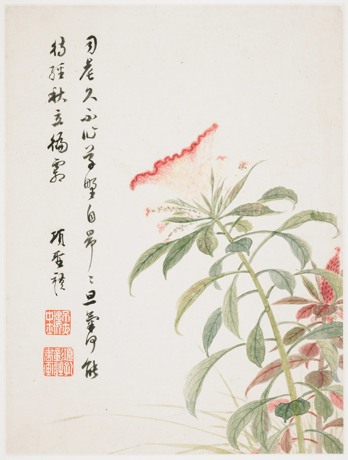 Xiang Shengmo - Cock's-comb (1656)