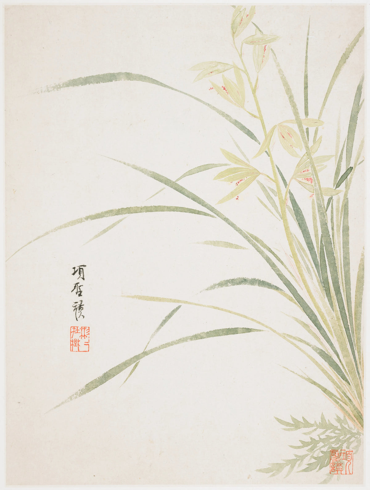 Xiang Shengmo - Epidendrum Blossom (1656)