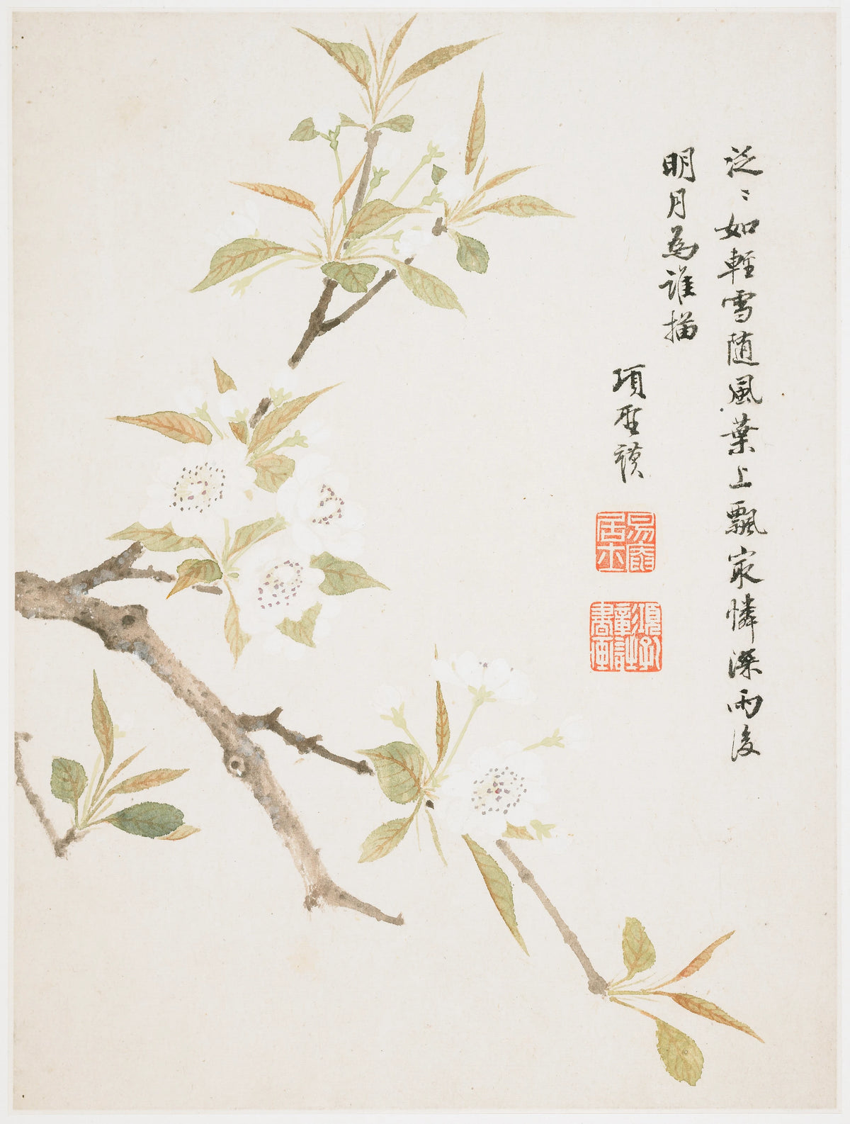 Xiang Shengmo - Pear Blossom (1656)